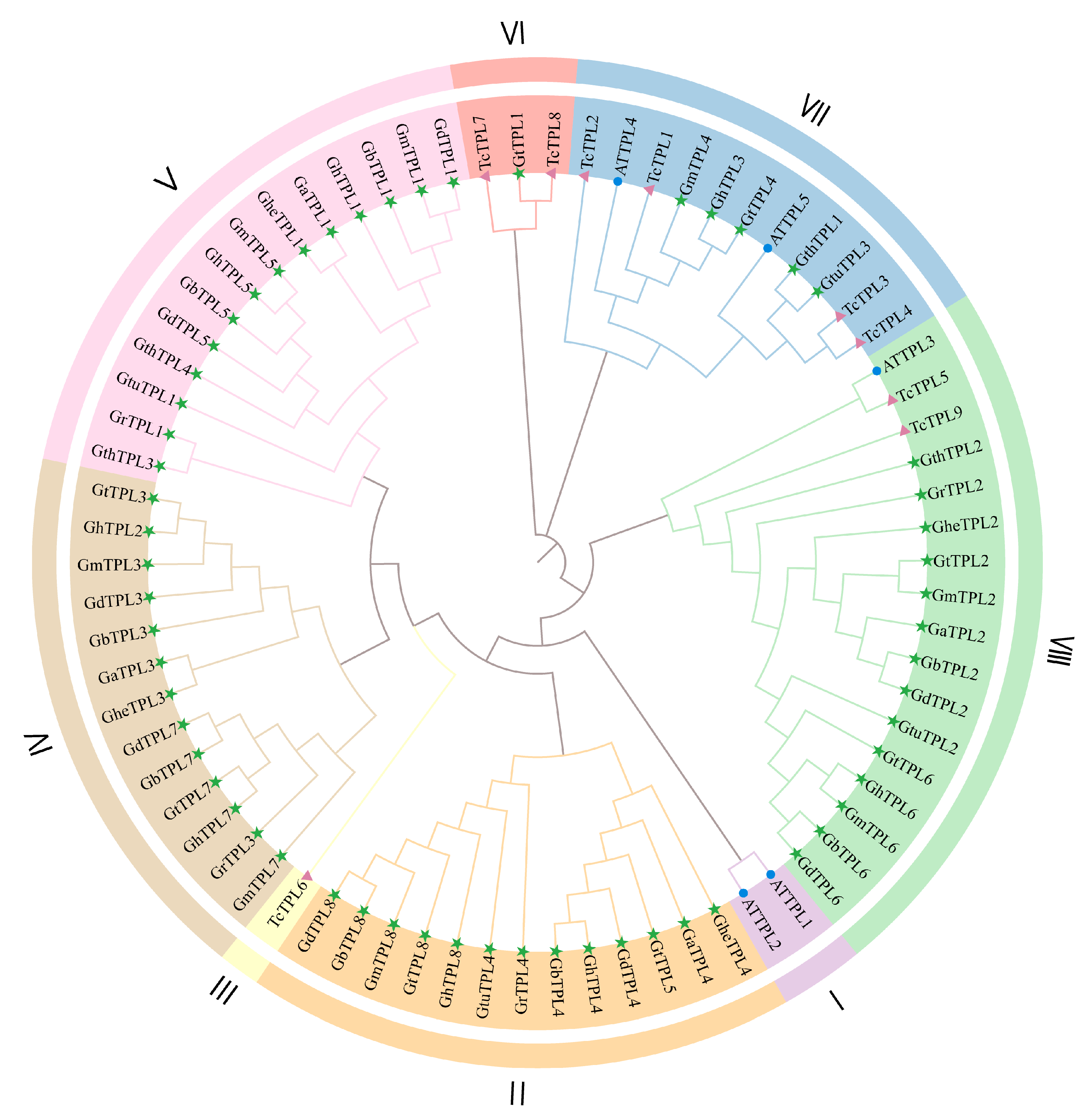 Genes 16 01072 g002 Genes 16 01072 g002