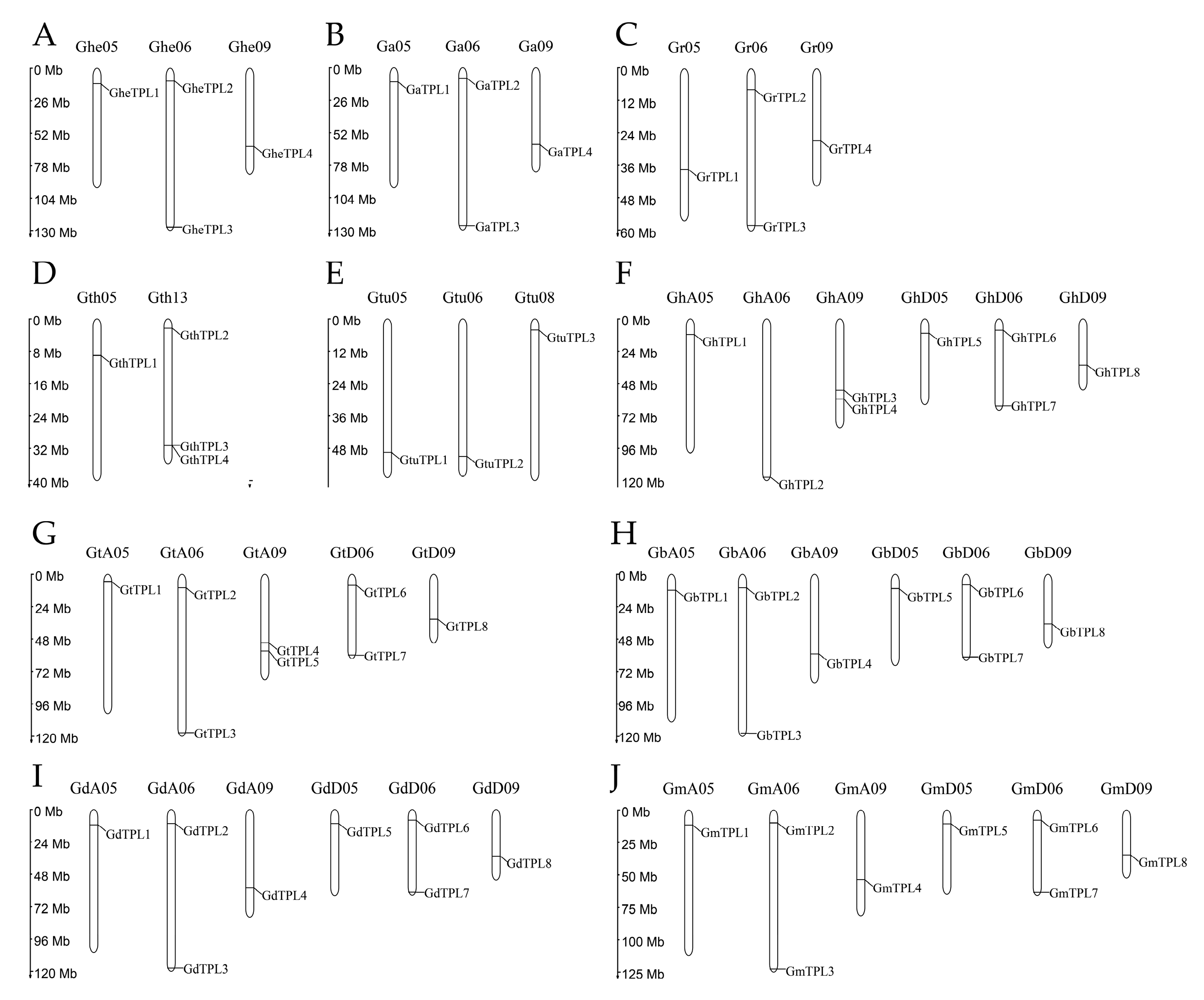 Genes 16 01072 g003 Genes 16 01072 g003