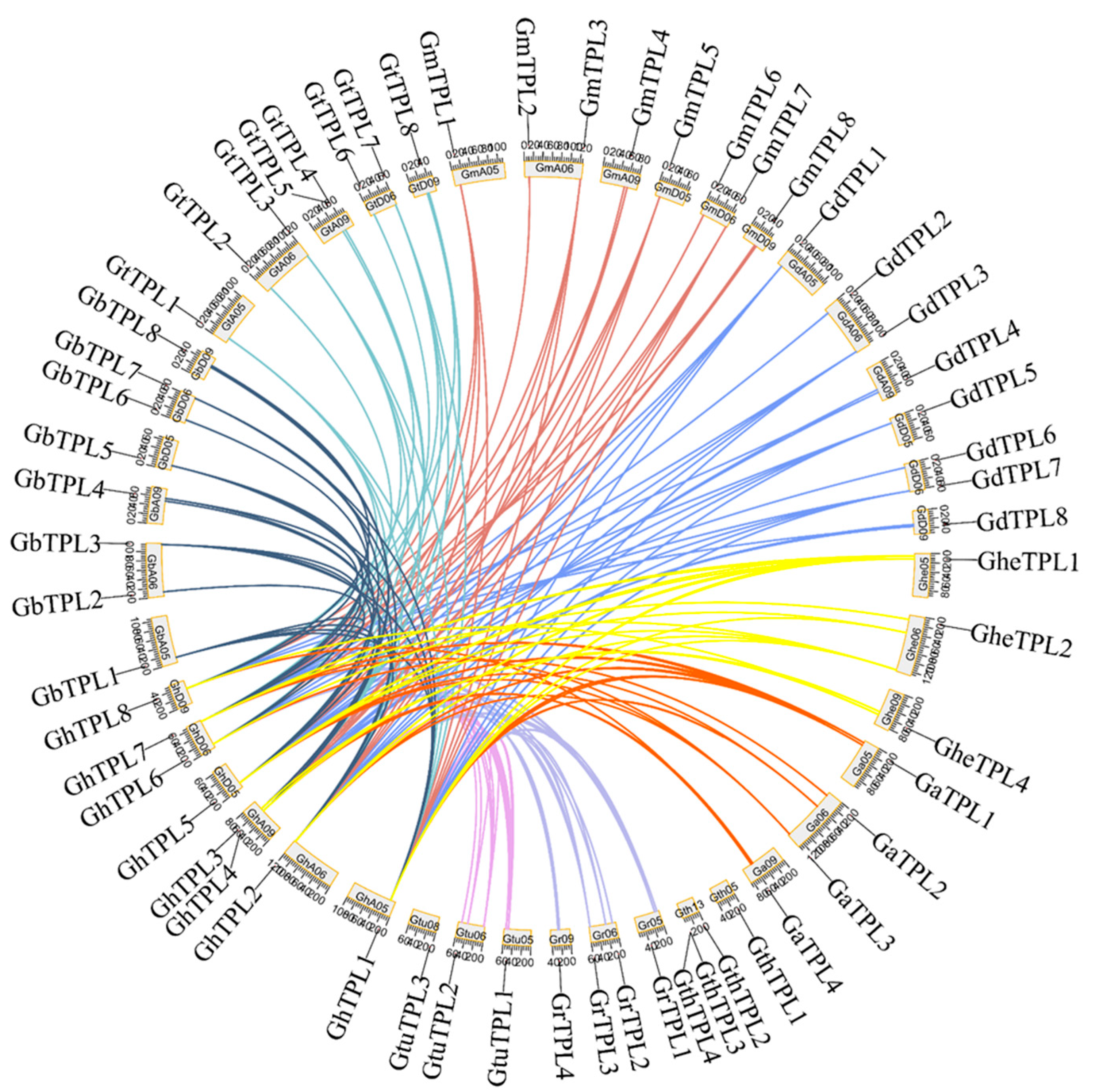 Genes 16 01072 g004 Genes 16 01072 g004