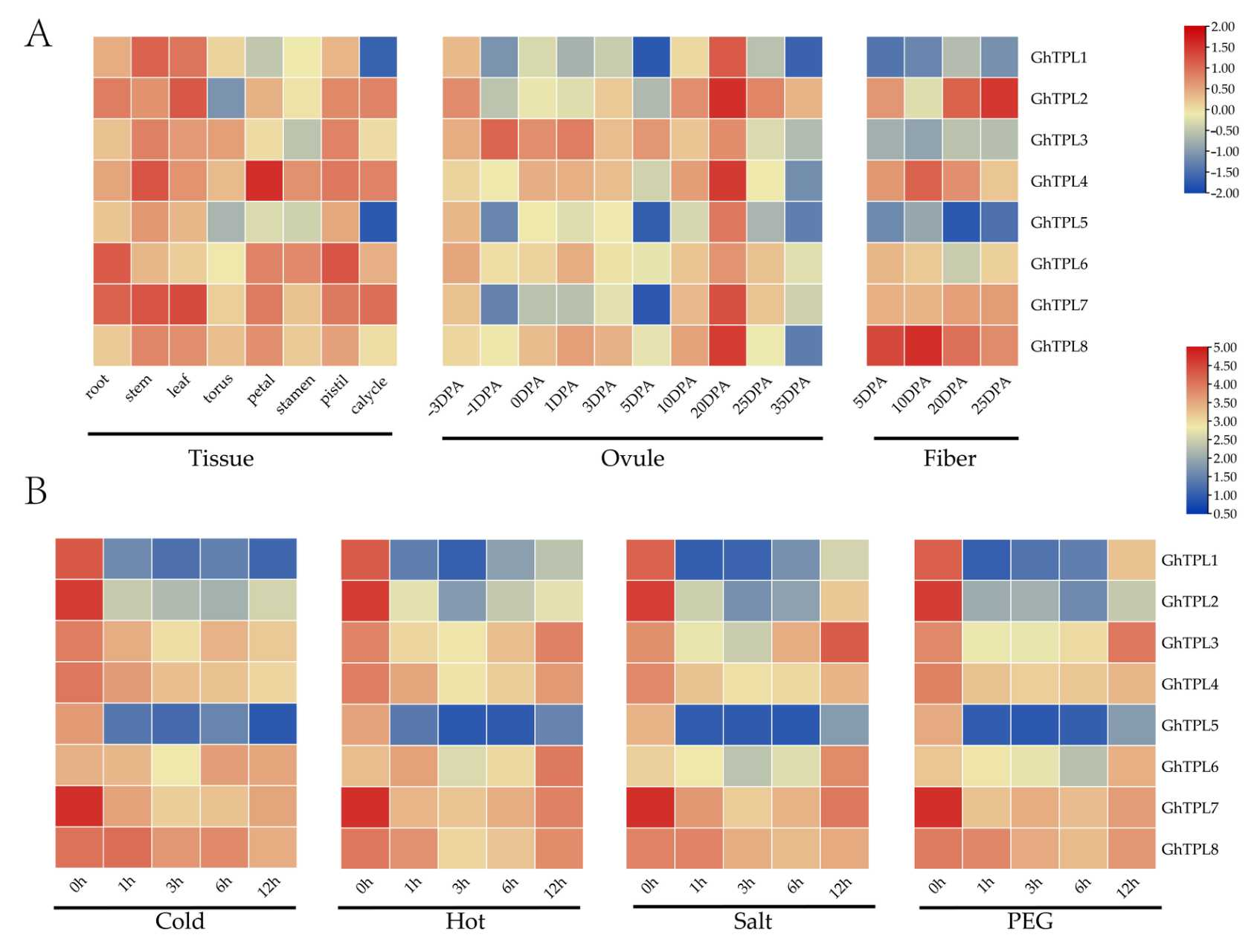 Genes 16 01072 g005 Genes 16 01072 g005
