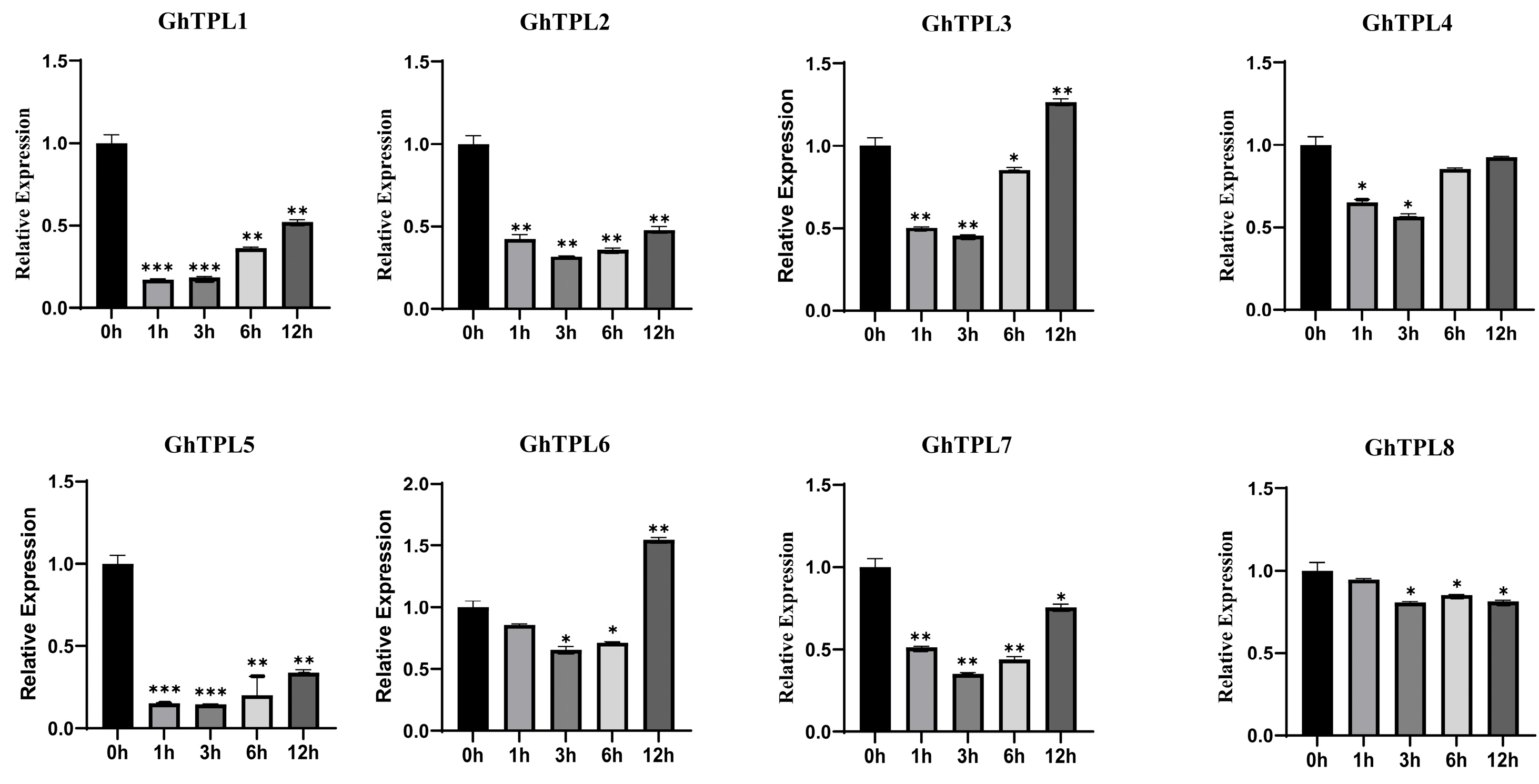 Genes 16 01072 g006 Genes 16 01072 g006