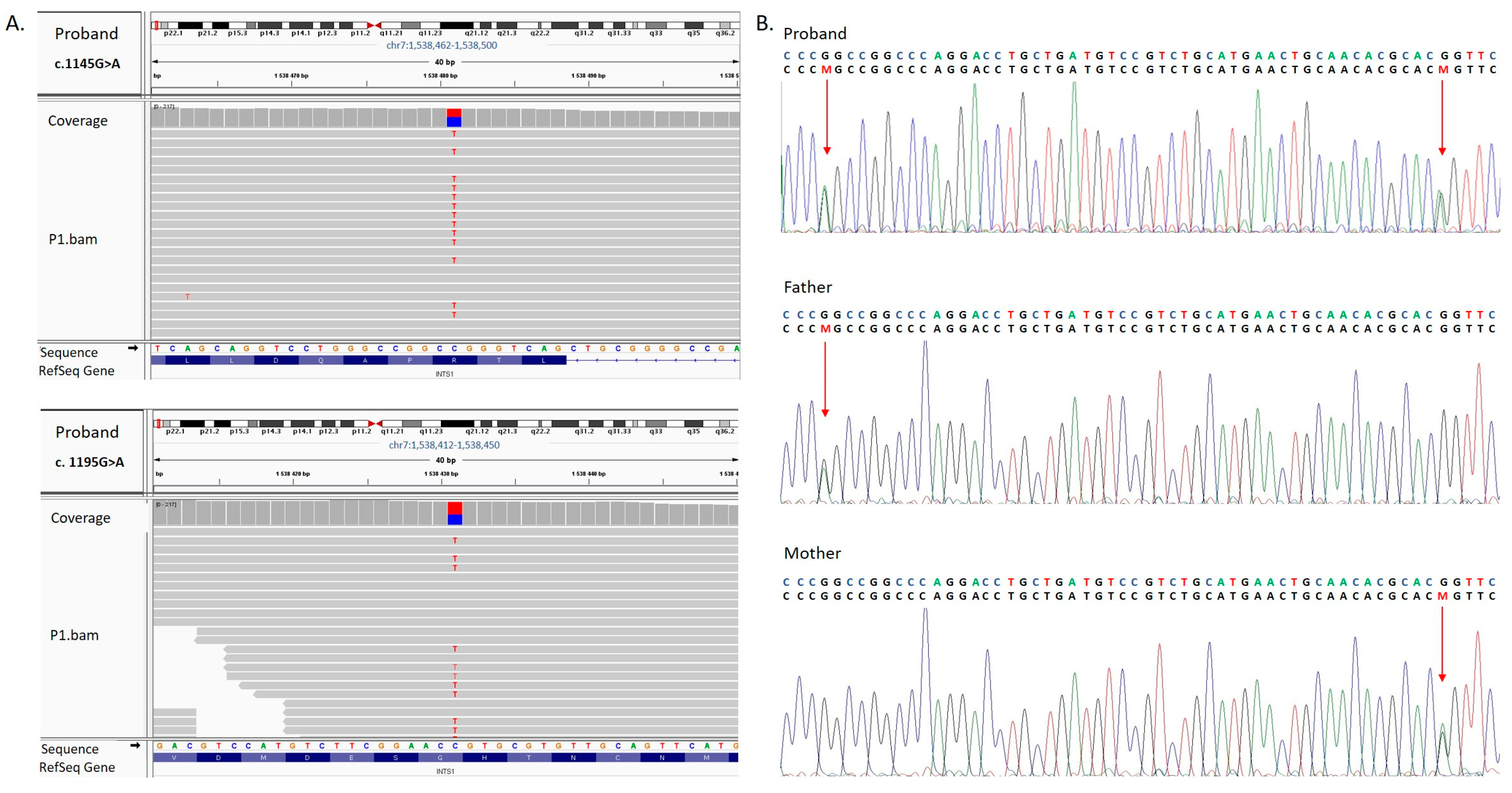 Genes 16 01081 g002 Genes 16 01081 g002
