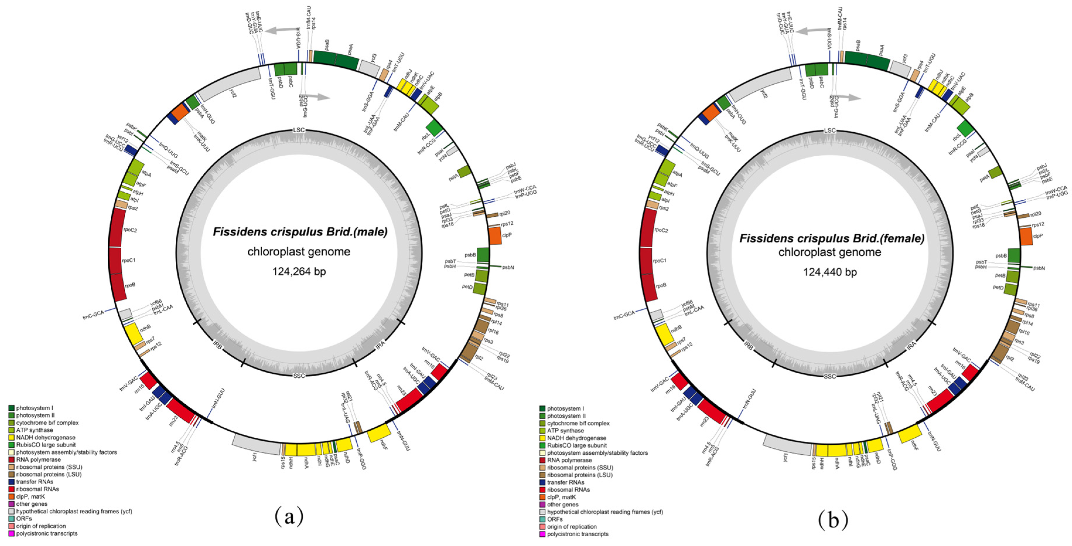 Genes 16 01103 g002 Genes 16 01103 g002