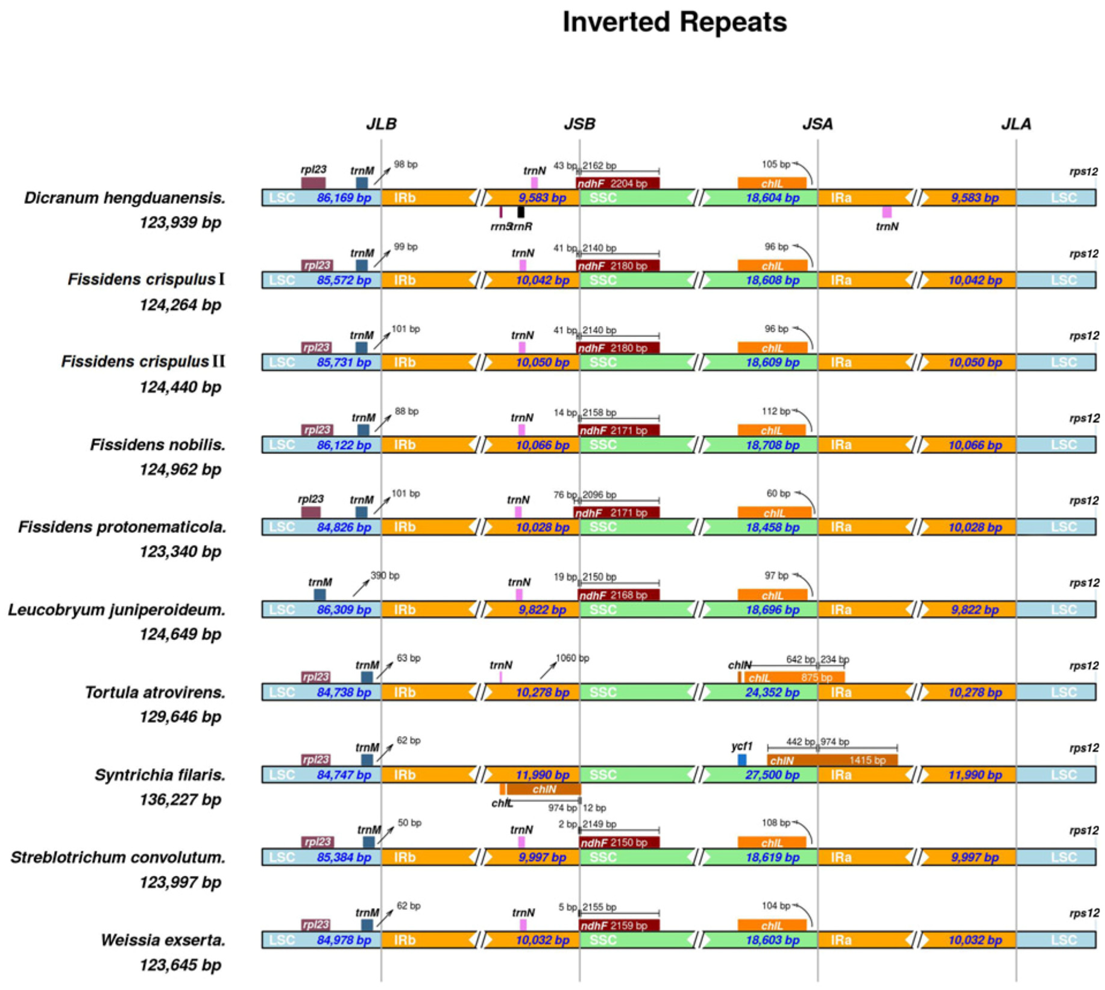Genes 16 01103 g003 Genes 16 01103 g003