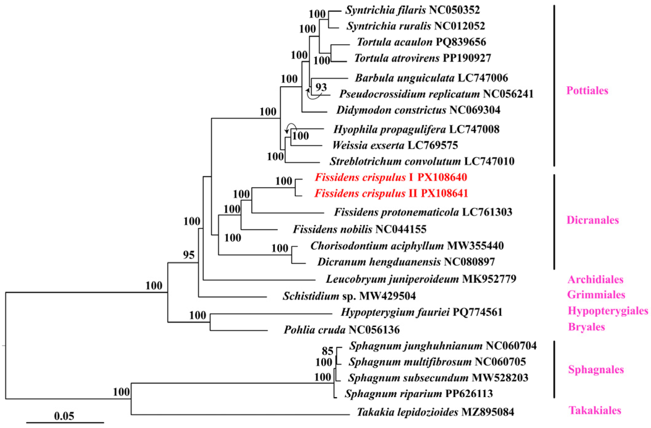Genes 16 01103 g007 Genes 16 01103 g007