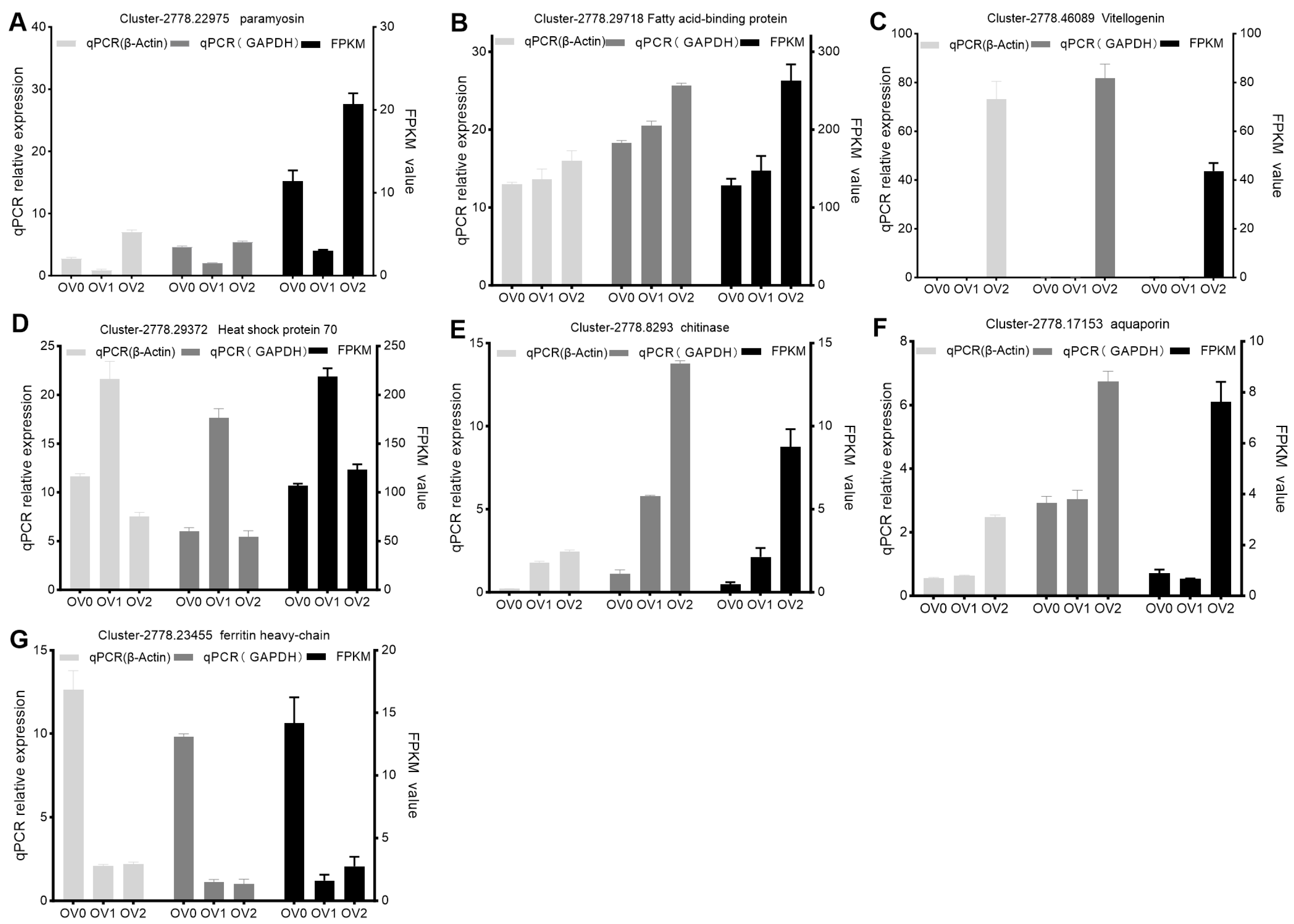Genes 16 01107 g006 Genes 16 01107 g006