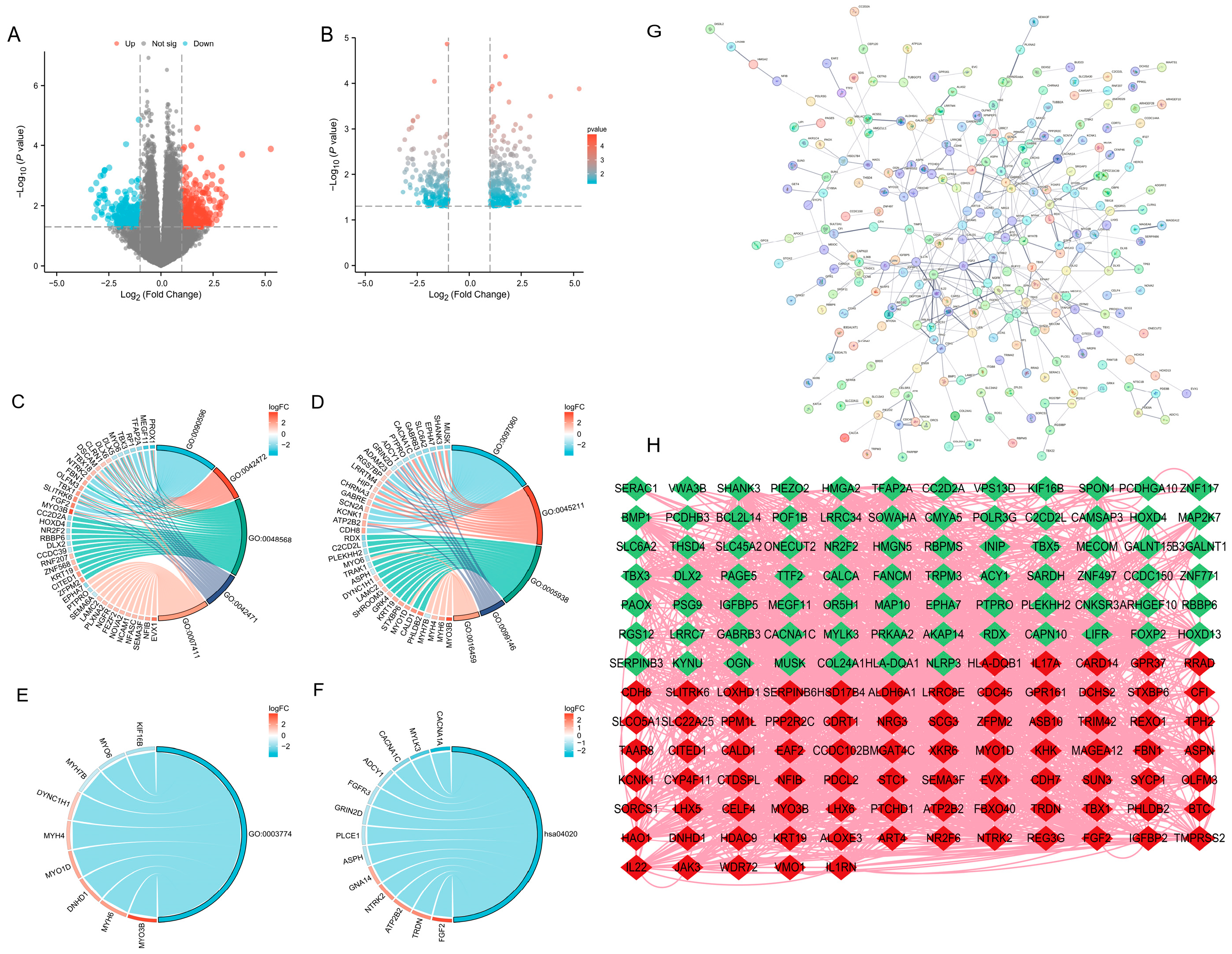 Genes 16 01109 g001 Genes 16 01109 g001