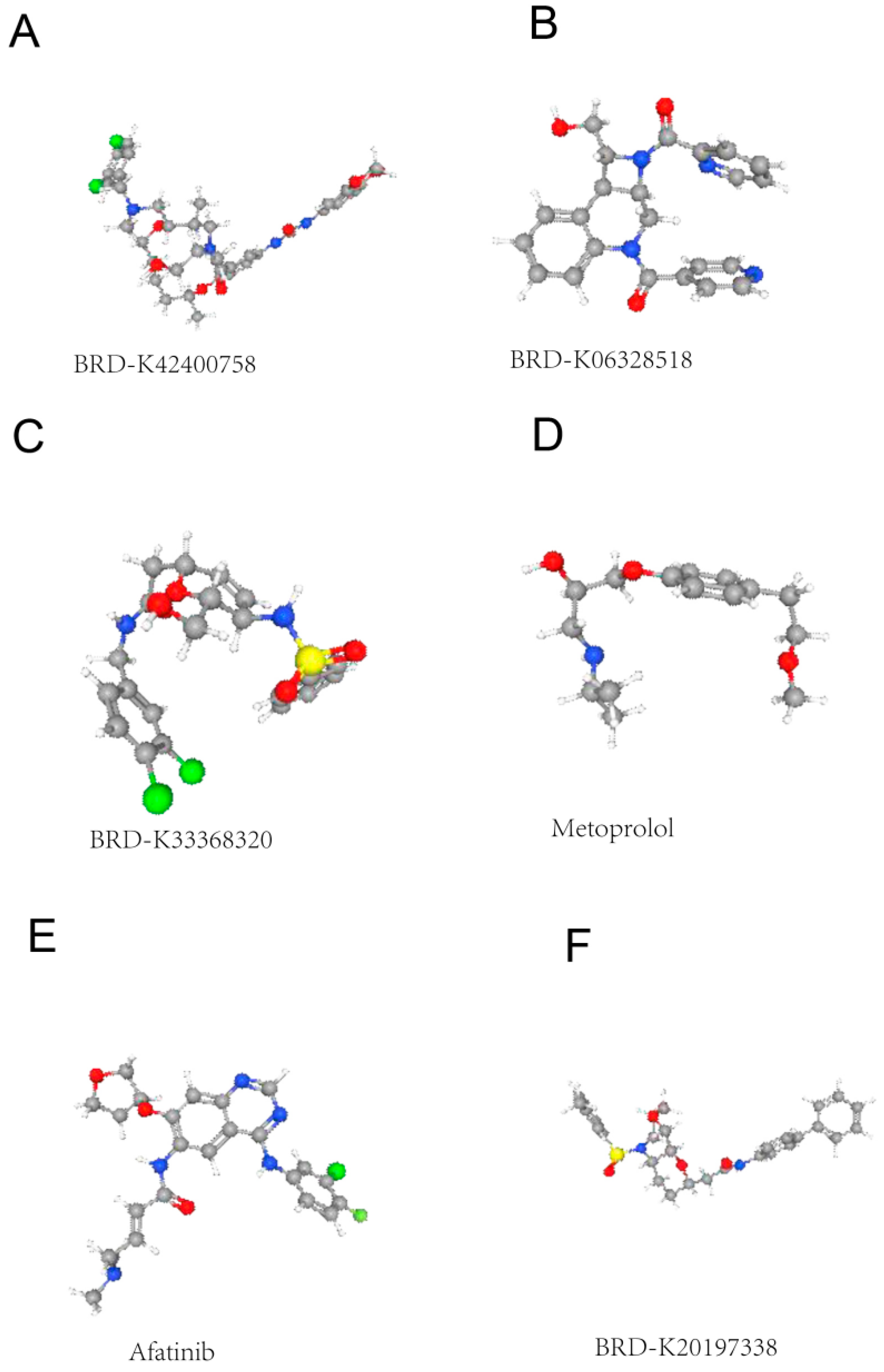 Genes 16 01109 g002 Genes 16 01109 g002