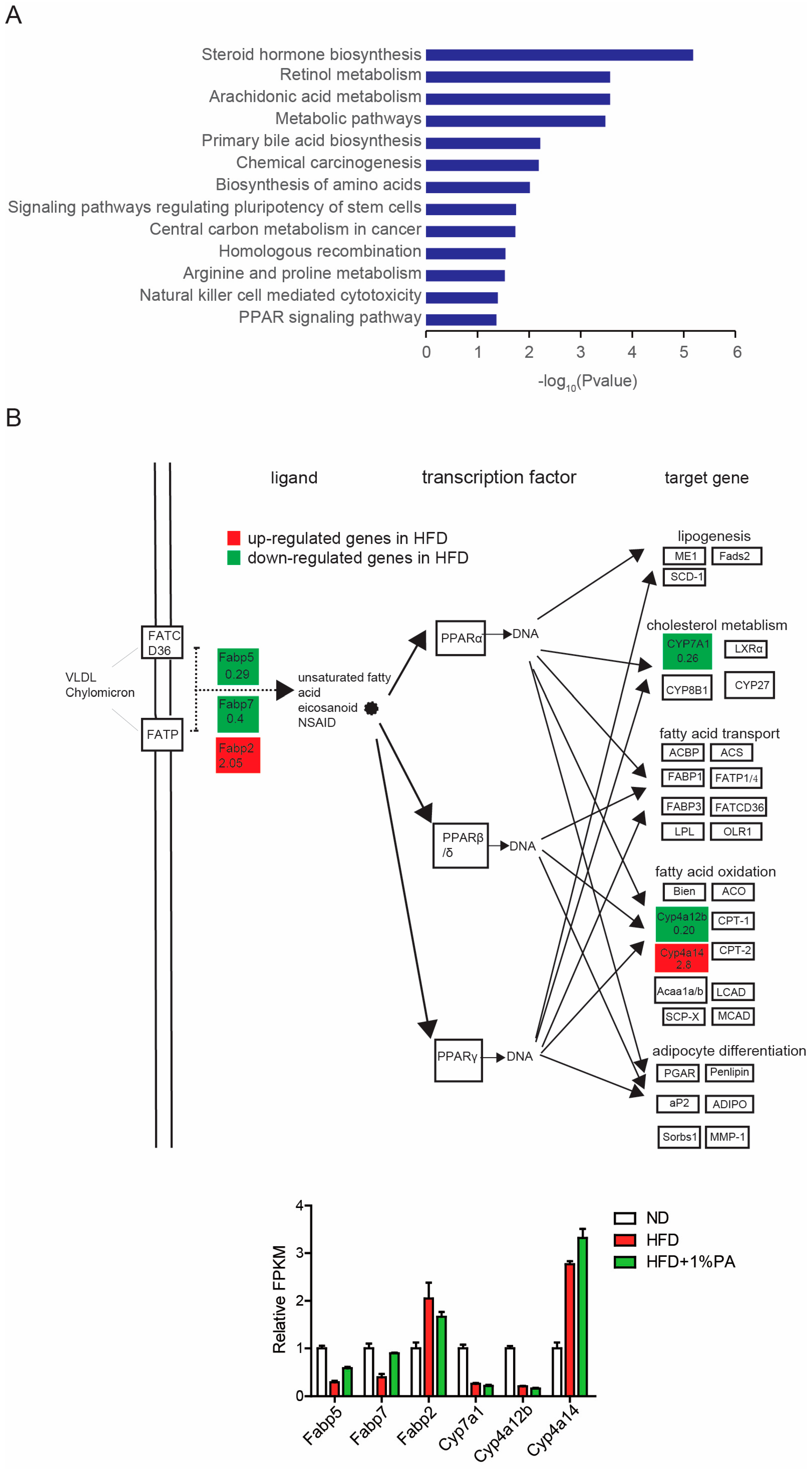 Genes 16 01112 g003 Genes 16 01112 g003