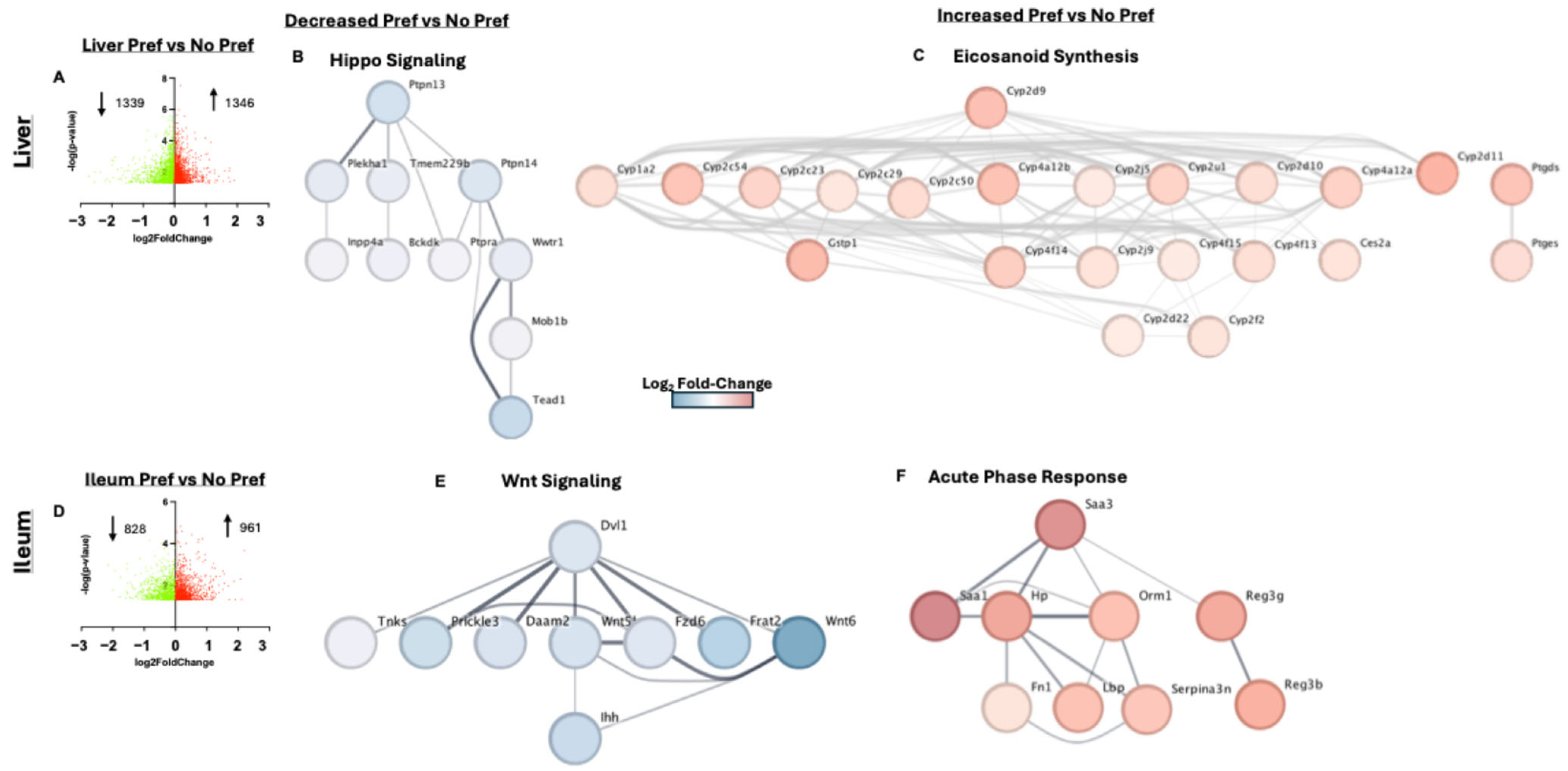 Genes 16 01121 g004 Genes 16 01121 g004