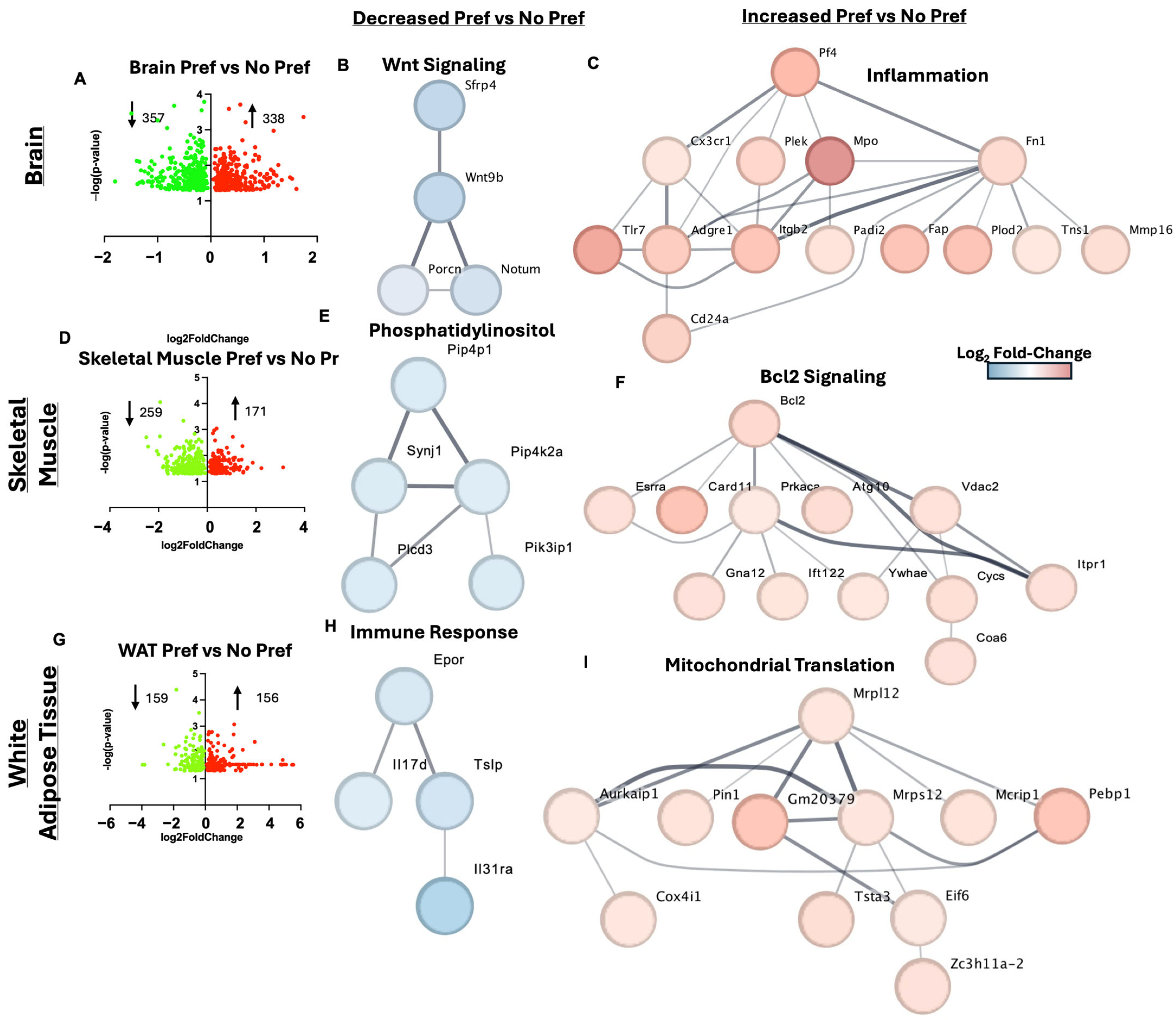Genes 16 01121 g005 Genes 16 01121 g005
