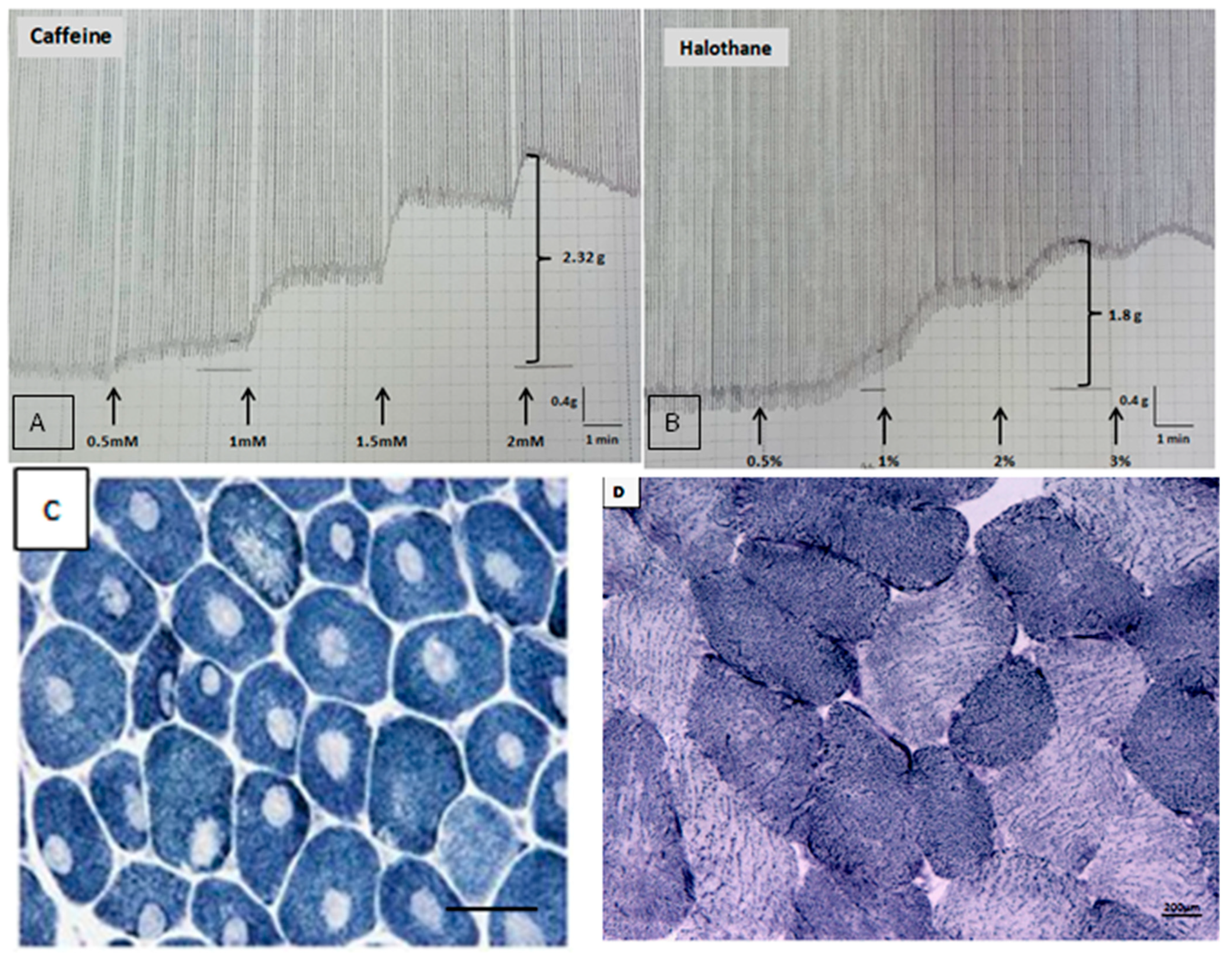 Genes 16 01127 g001 Genes 16 01127 g001