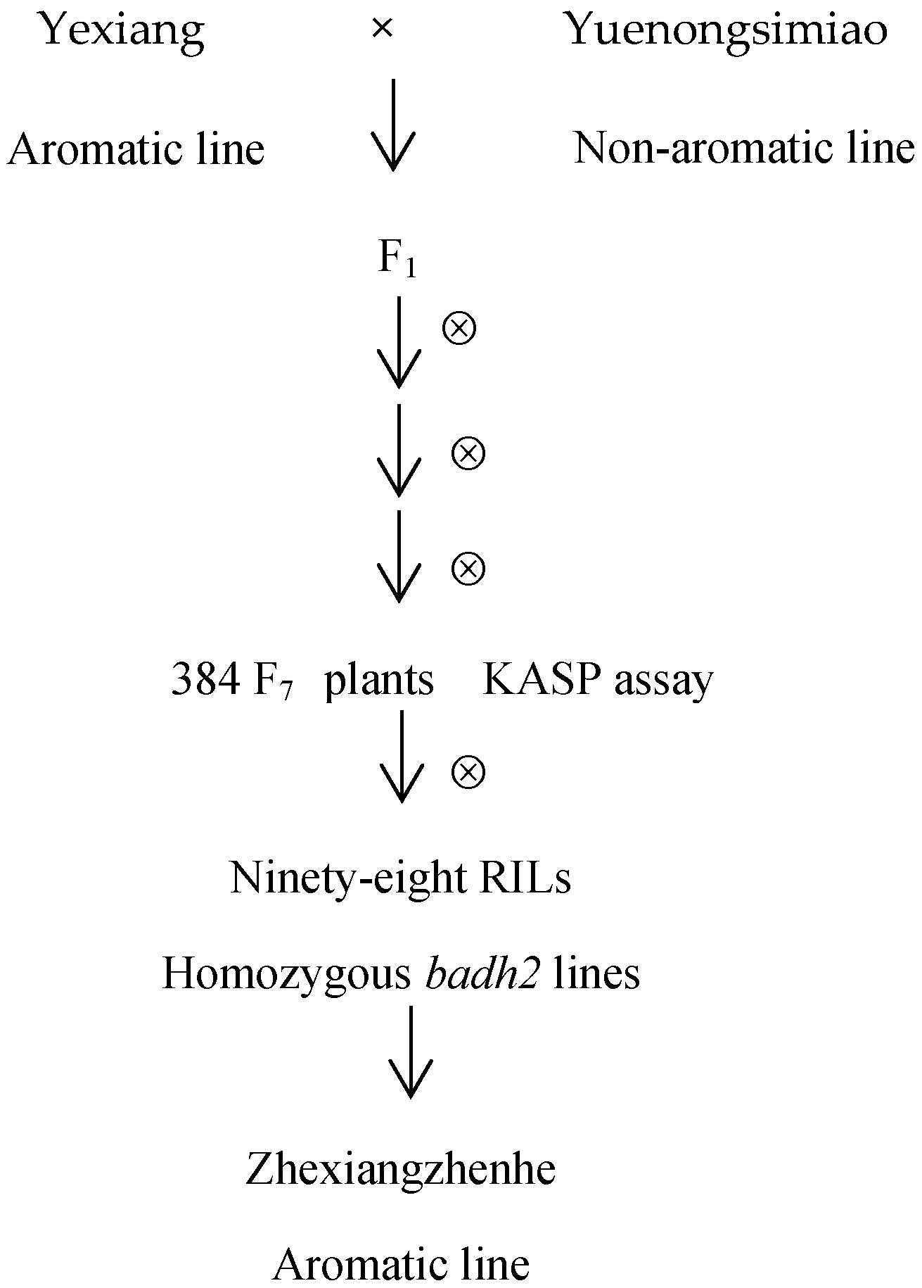 Genes 16 01132 g001 Genes 16 01132 g001