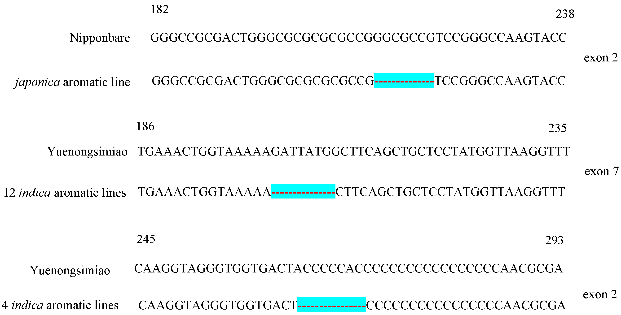 Genes 16 01132 g002 Genes 16 01132 g002