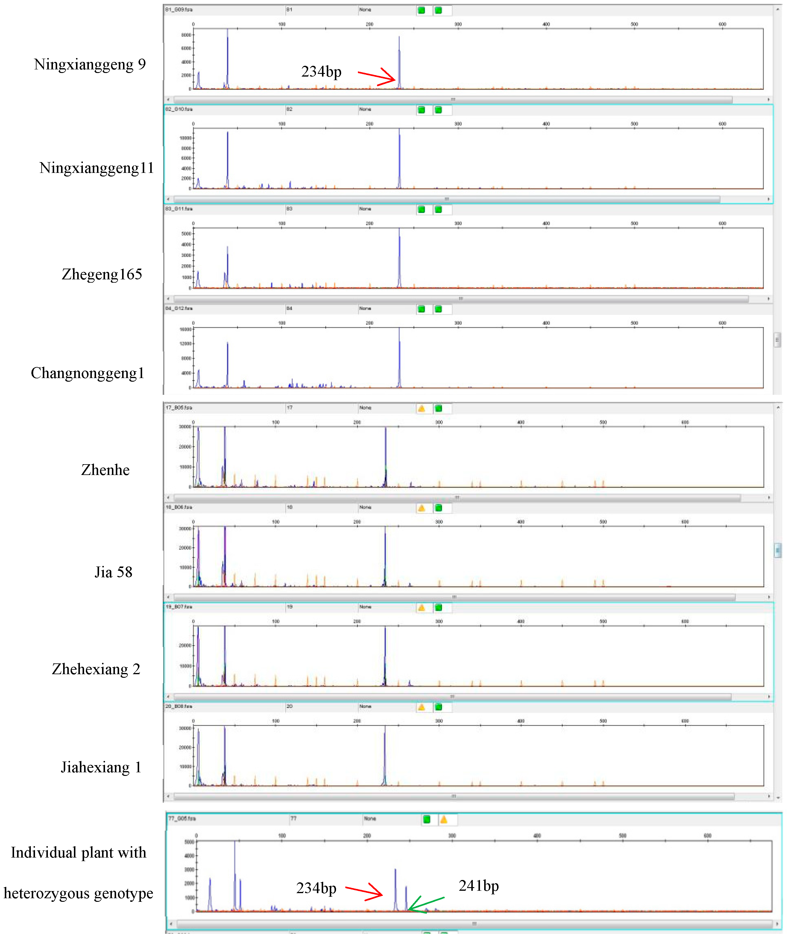 Genes 16 01132 g003 Genes 16 01132 g003