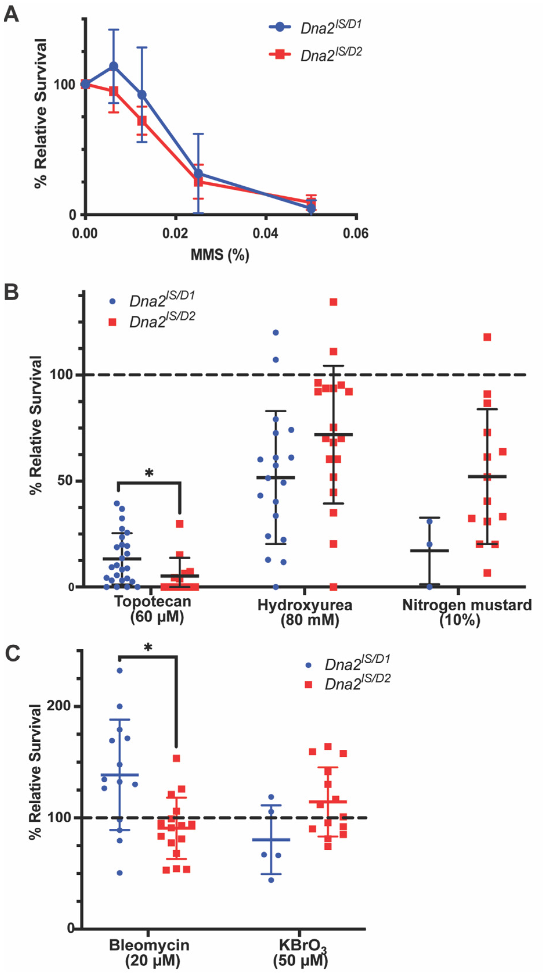 Genes 16 01133 g001 Genes 16 01133 g001