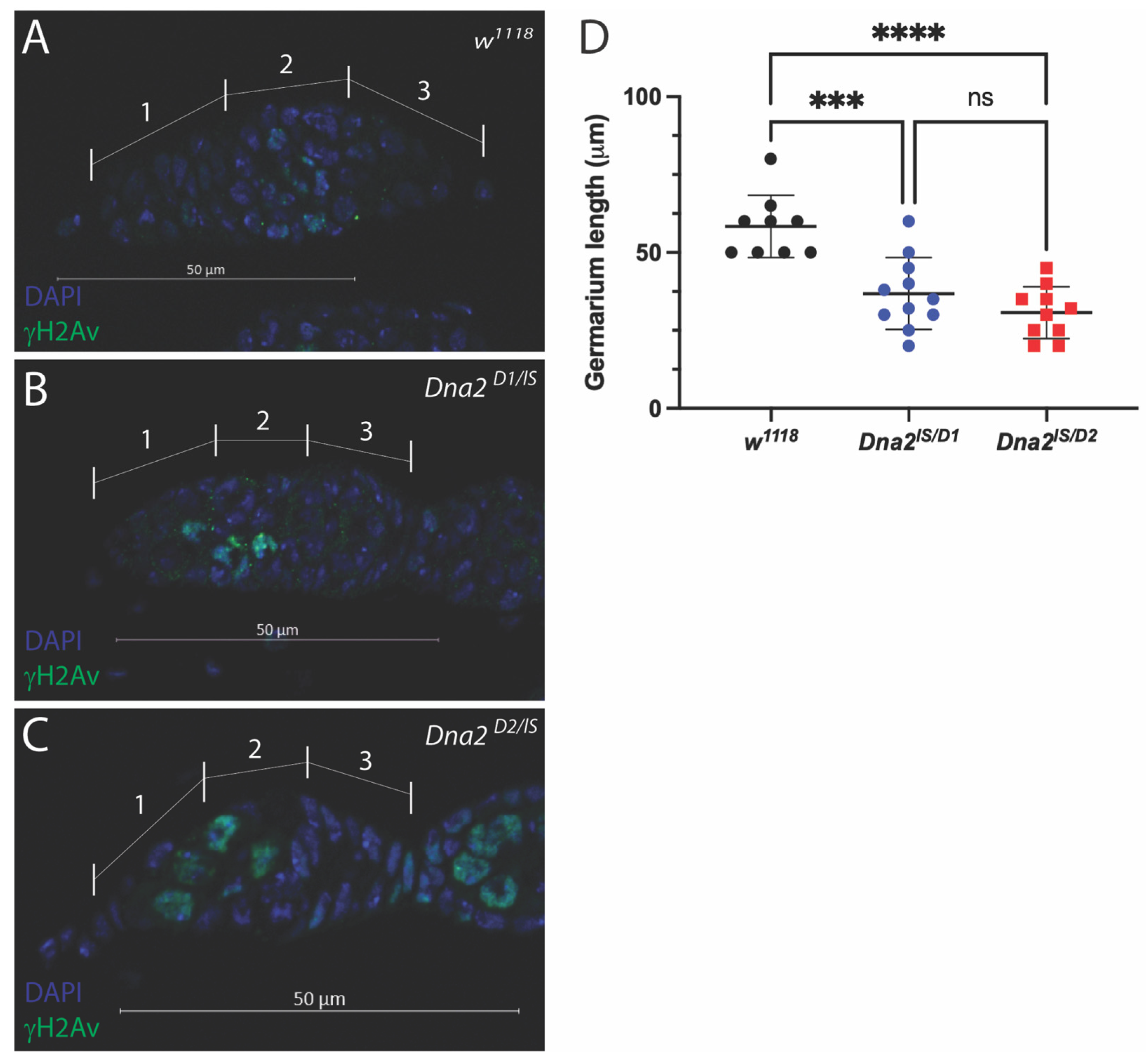 Genes 16 01133 g003 Genes 16 01133 g003