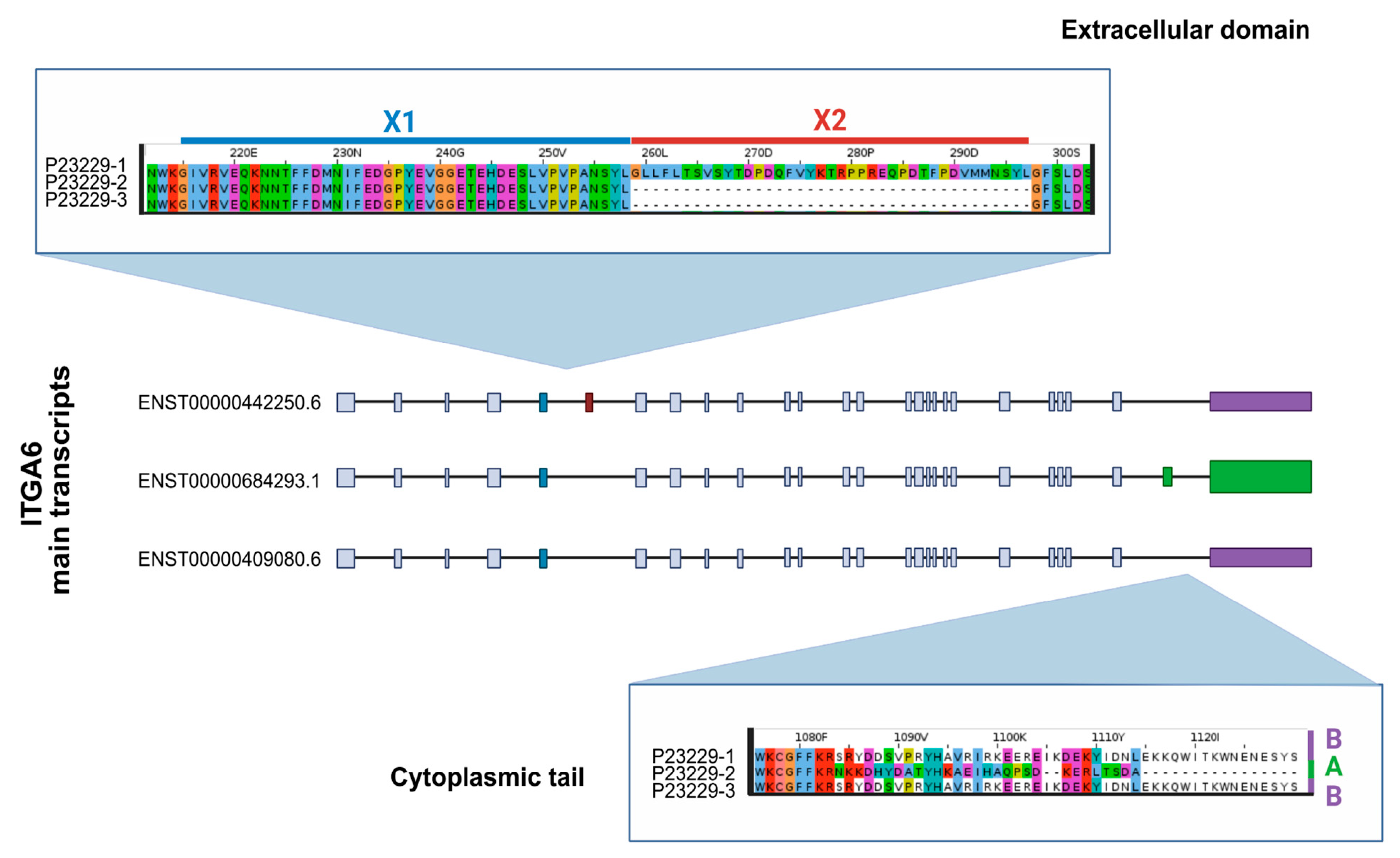 Genes 16 01134 g002 Genes 16 01134 g002