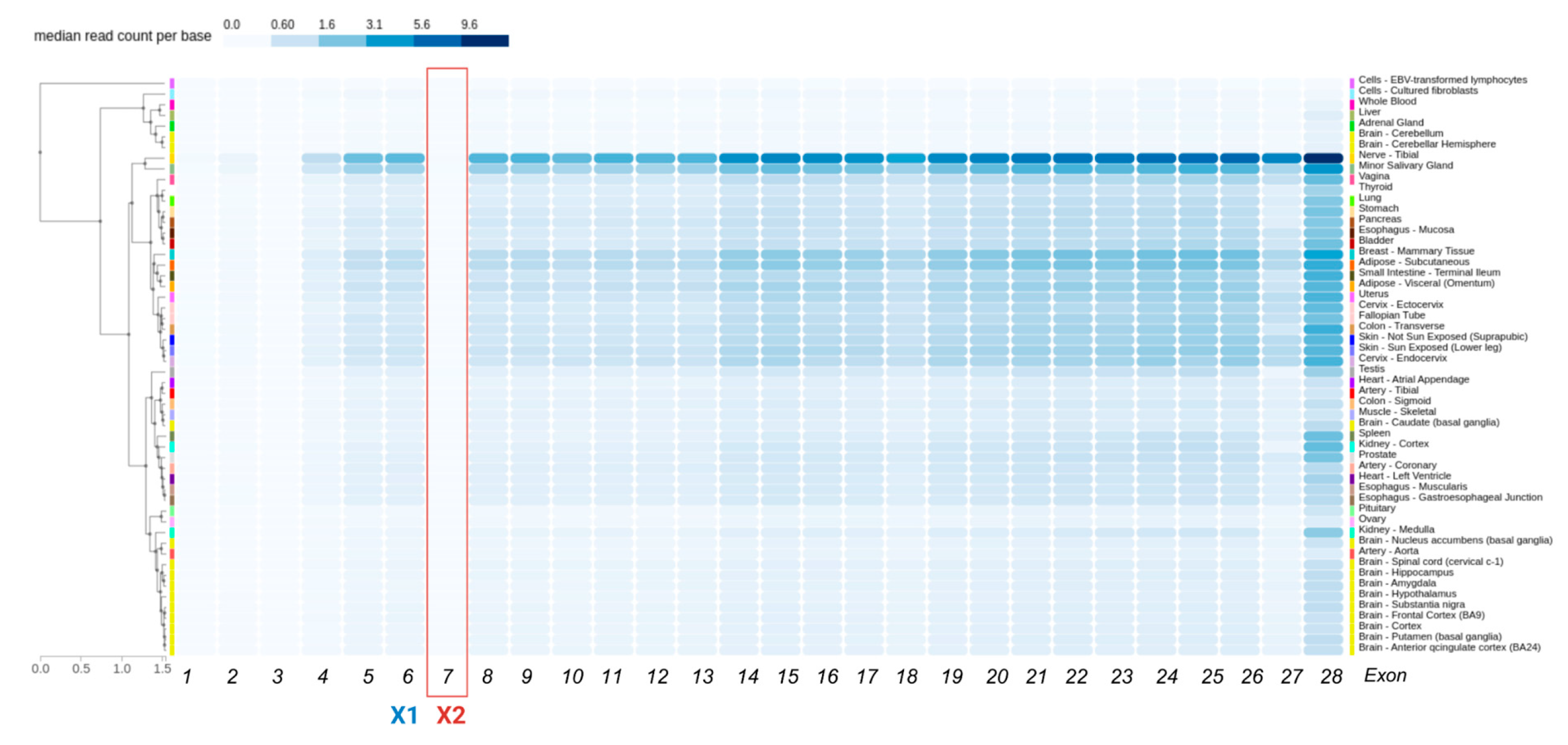 Genes 16 01134 g004 Genes 16 01134 g004
