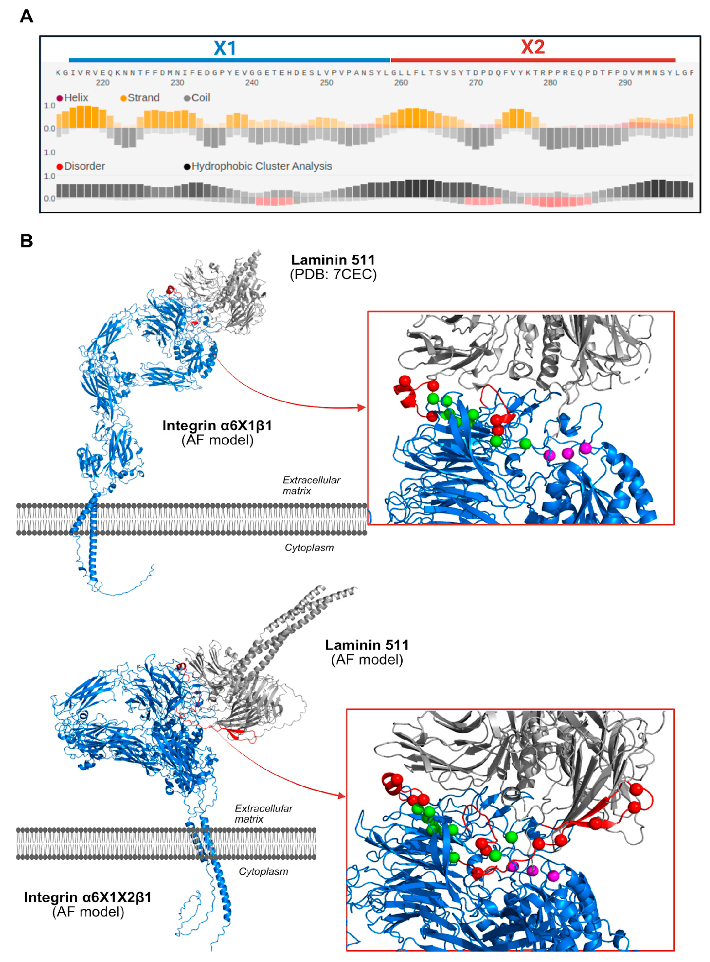 Genes 16 01134 g005 Genes 16 01134 g005
