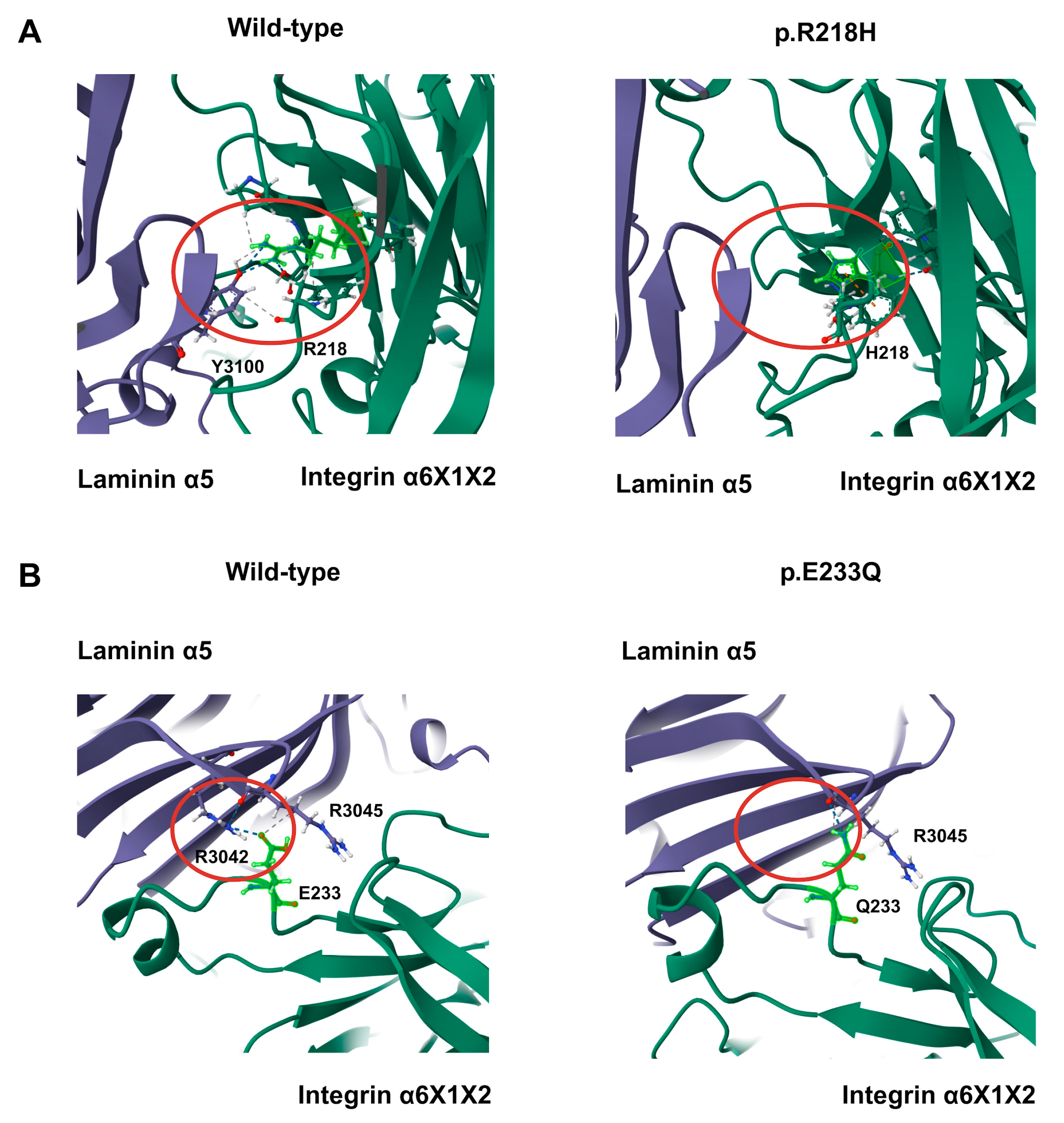 Genes 16 01134 g006 Genes 16 01134 g006