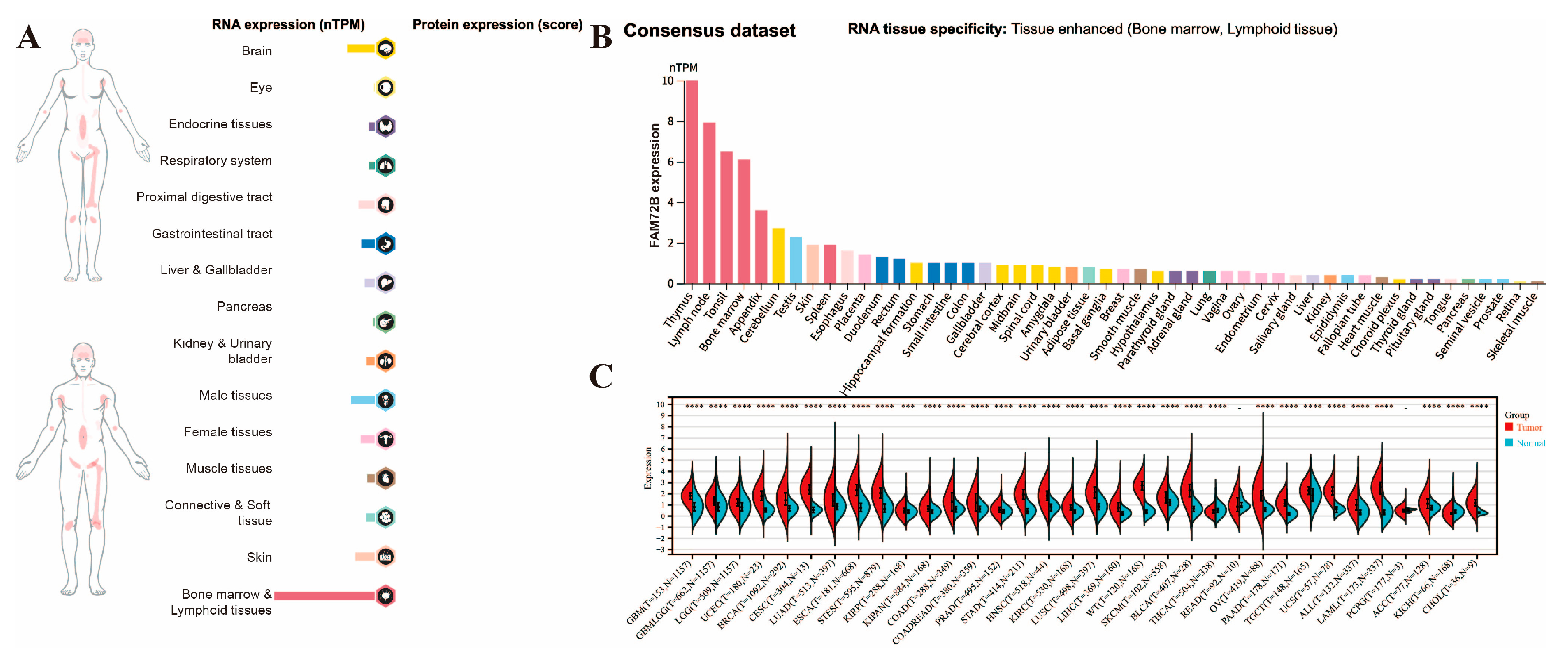 Genes 16 01140 g001