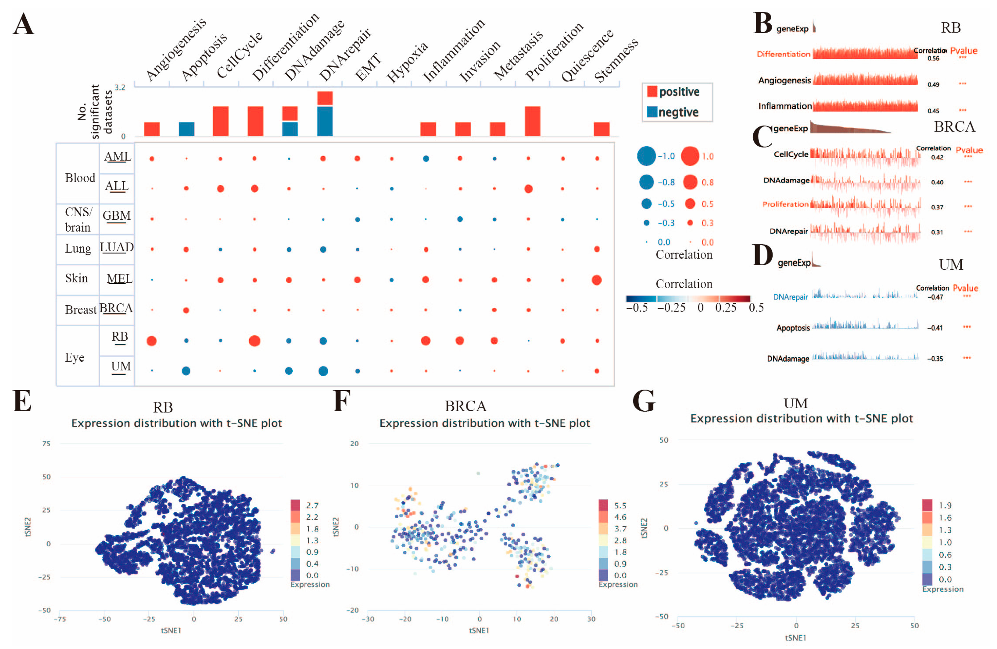 Genes 16 01140 g010