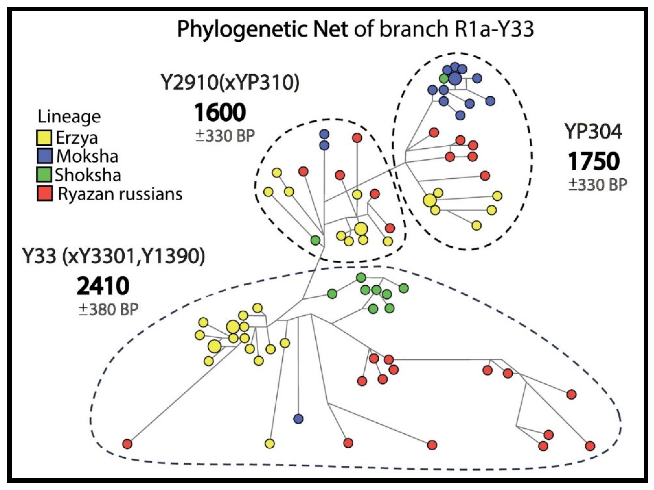 Genes 16 01149 g004