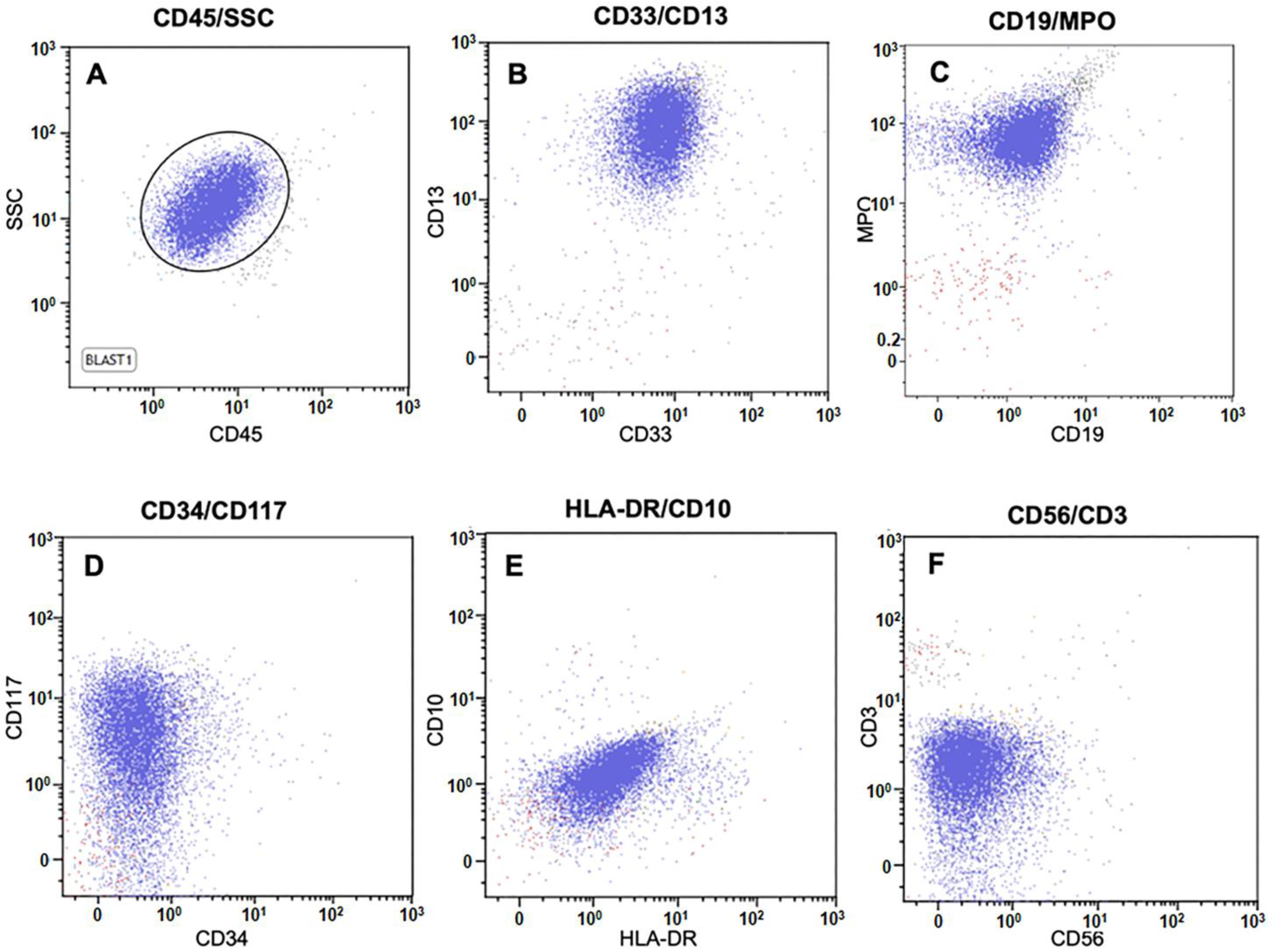 Genes 16 01159 g001 Genes 16 01159 g001