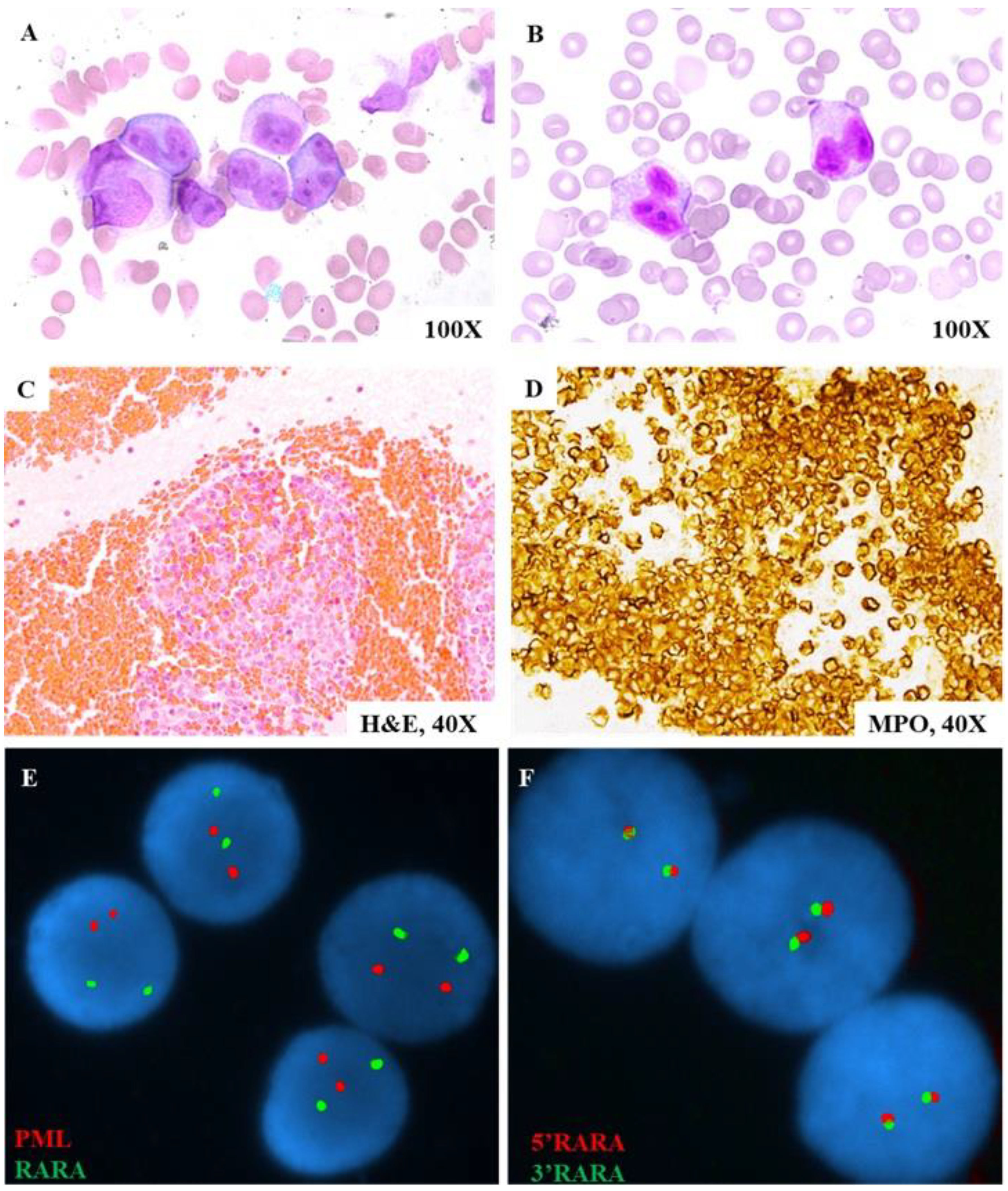 Genes 16 01159 g002 Genes 16 01159 g002