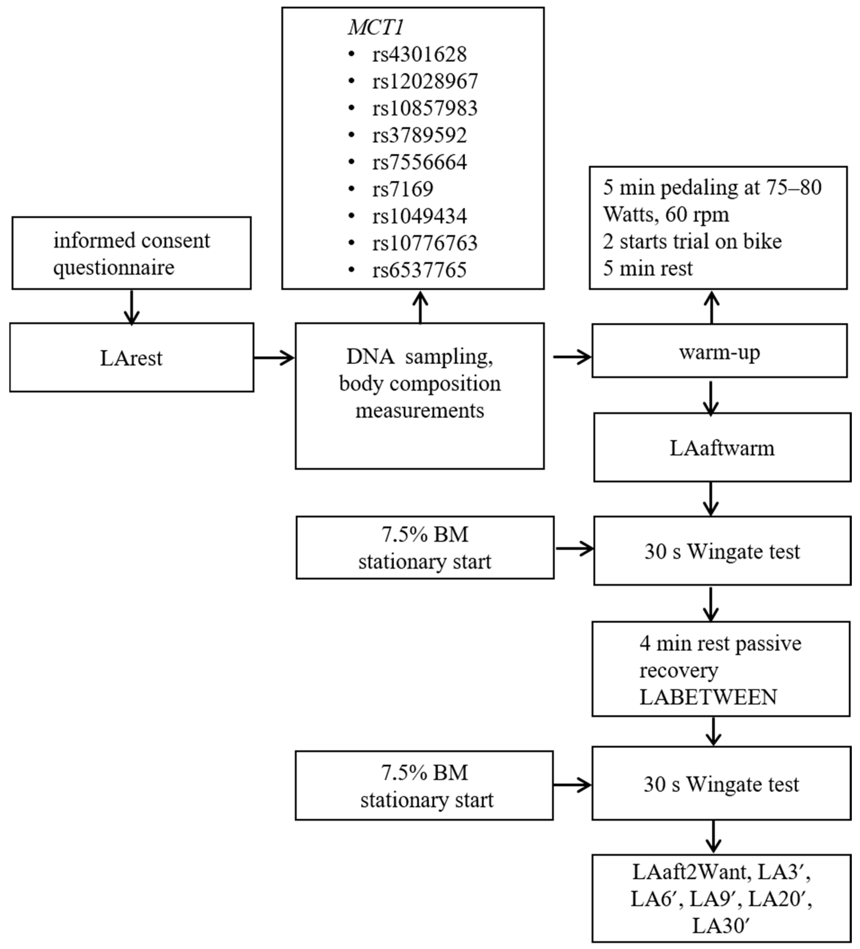 Genes 16 01160 g001 Genes 16 01160 g001