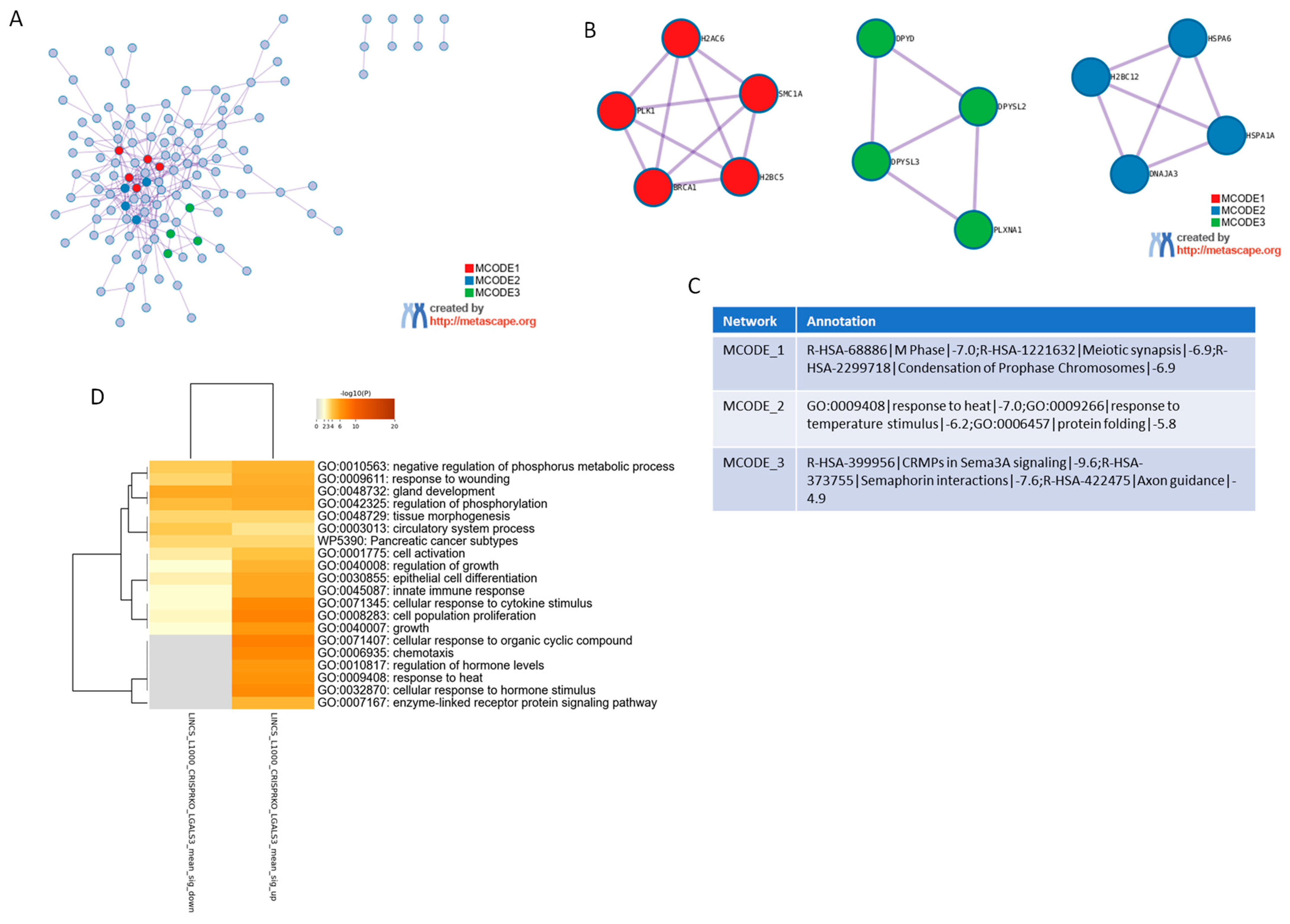 Genes 16 01170 g001 Genes 16 01170 g001
