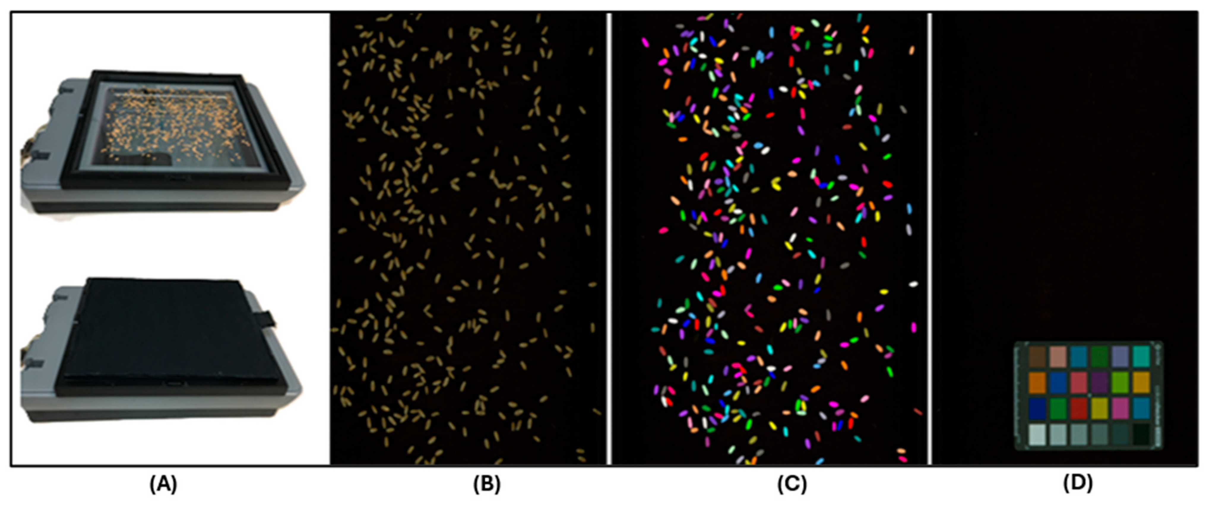 Genes 16 01172 g001 Genes 16 01172 g001