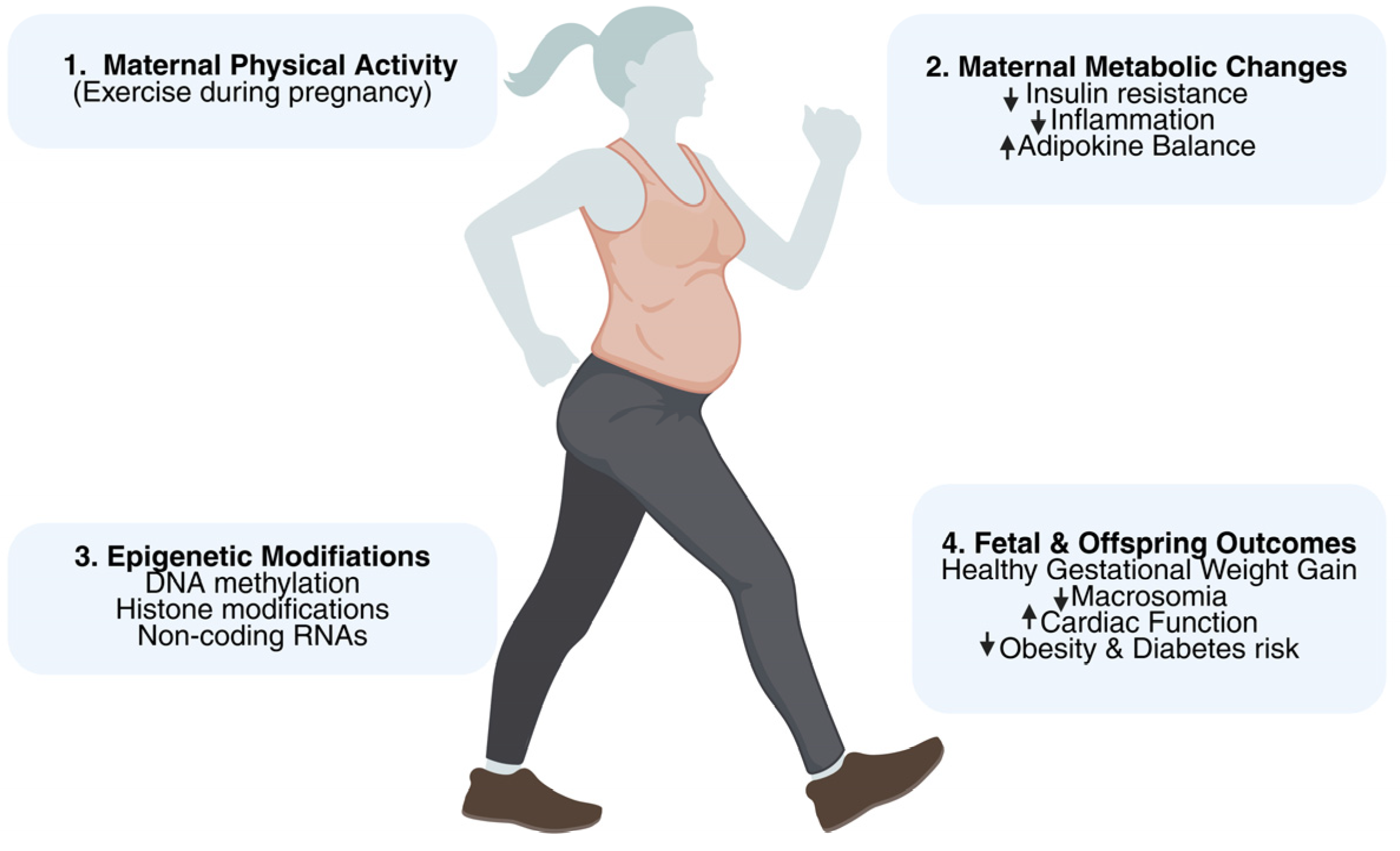 Genes 16 01173 g002 Genes 16 01173 g002