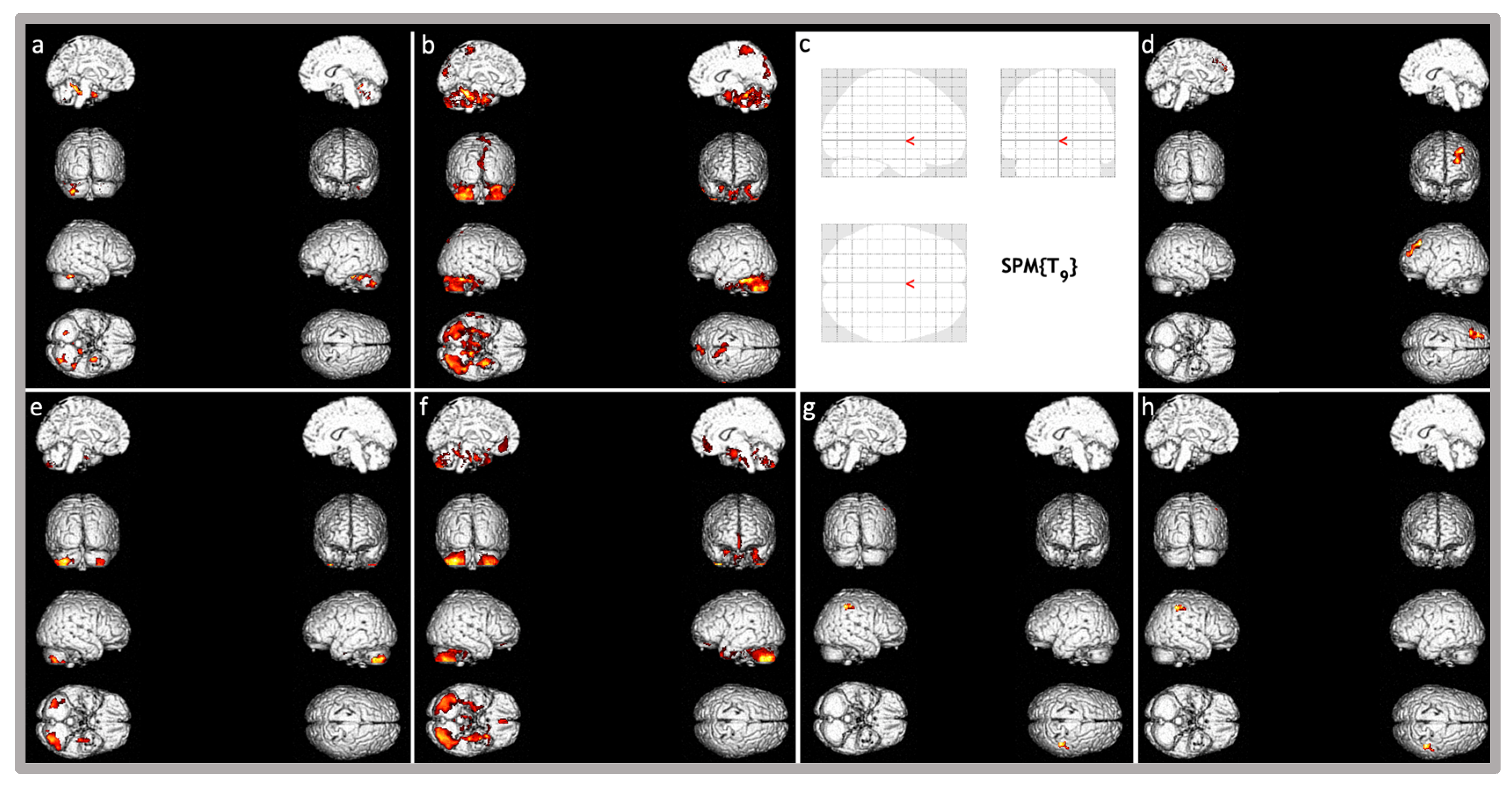 Genes 16 01174 g002 Genes 16 01174 g002