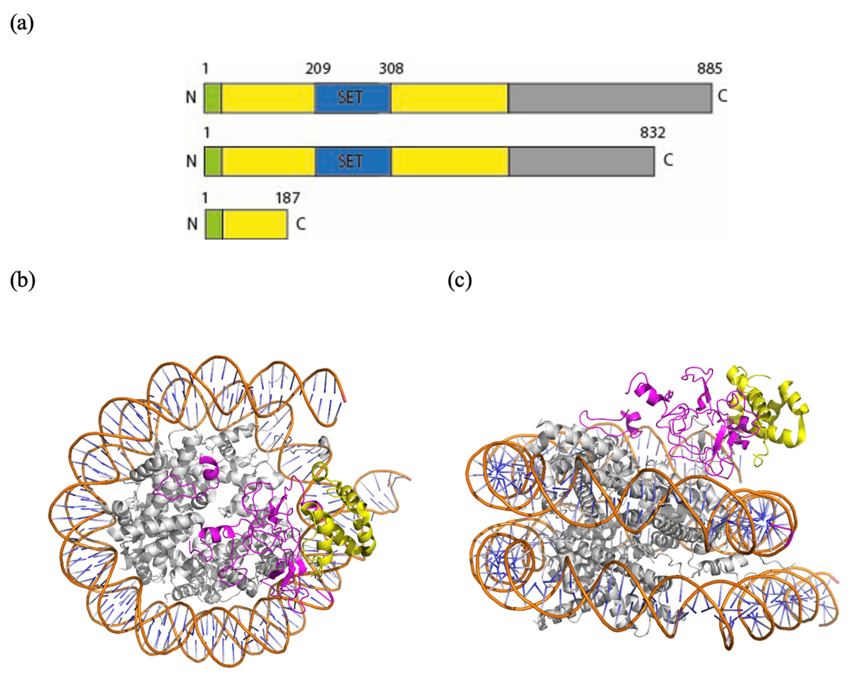 Genes 16 01174 g003 Genes 16 01174 g003