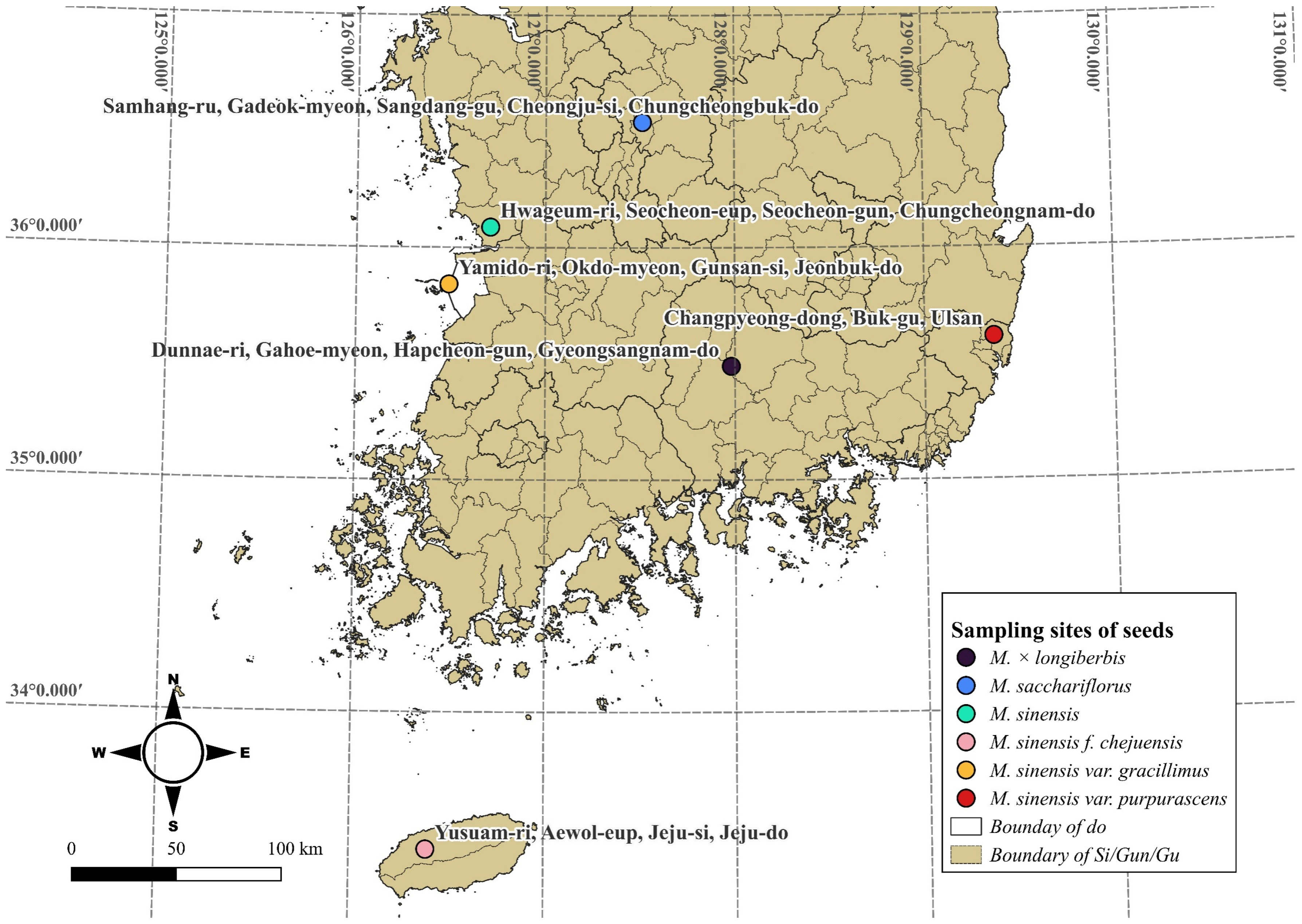 Genes 16 01175 g001 Genes 16 01175 g001