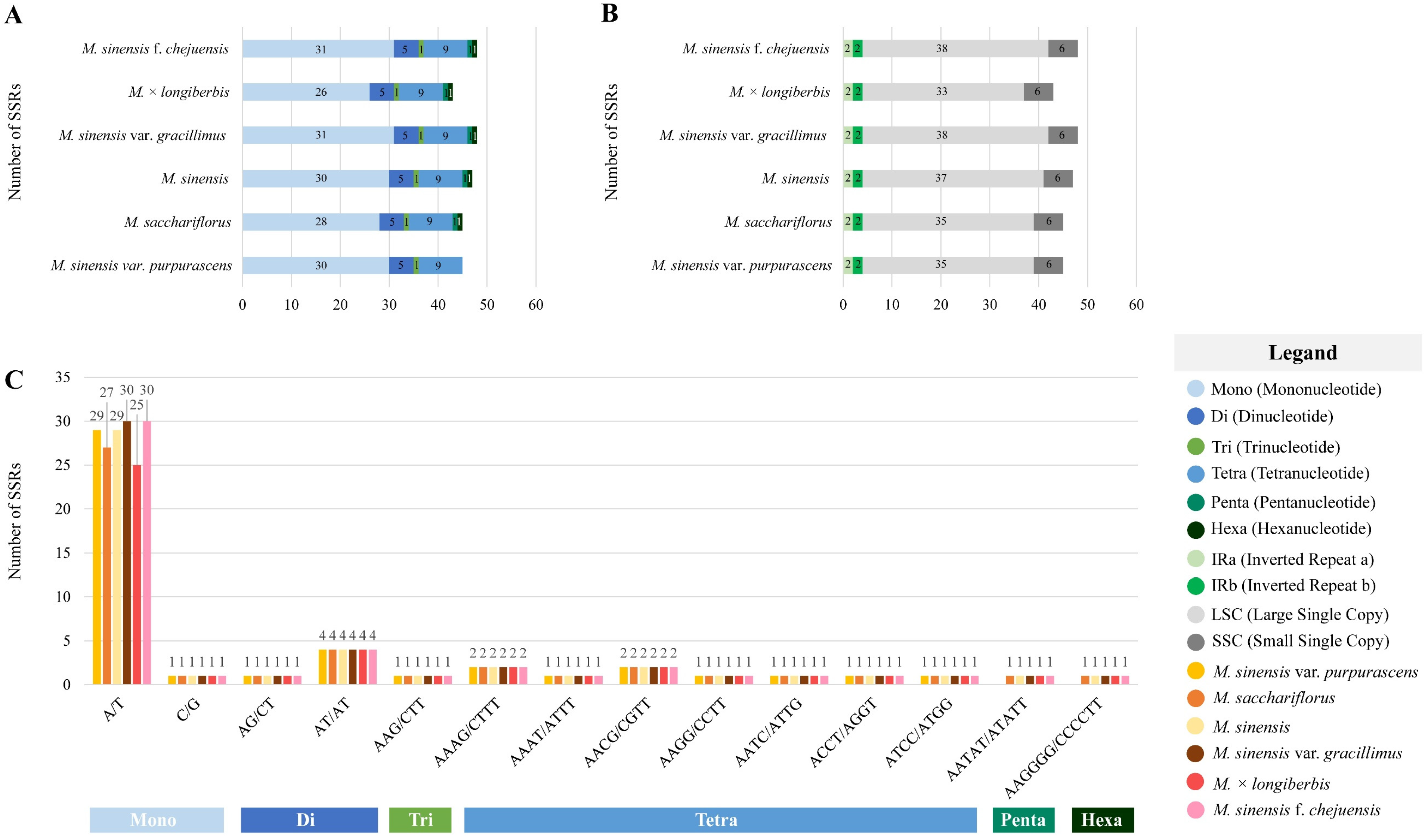 Genes 16 01175 g004 Genes 16 01175 g004