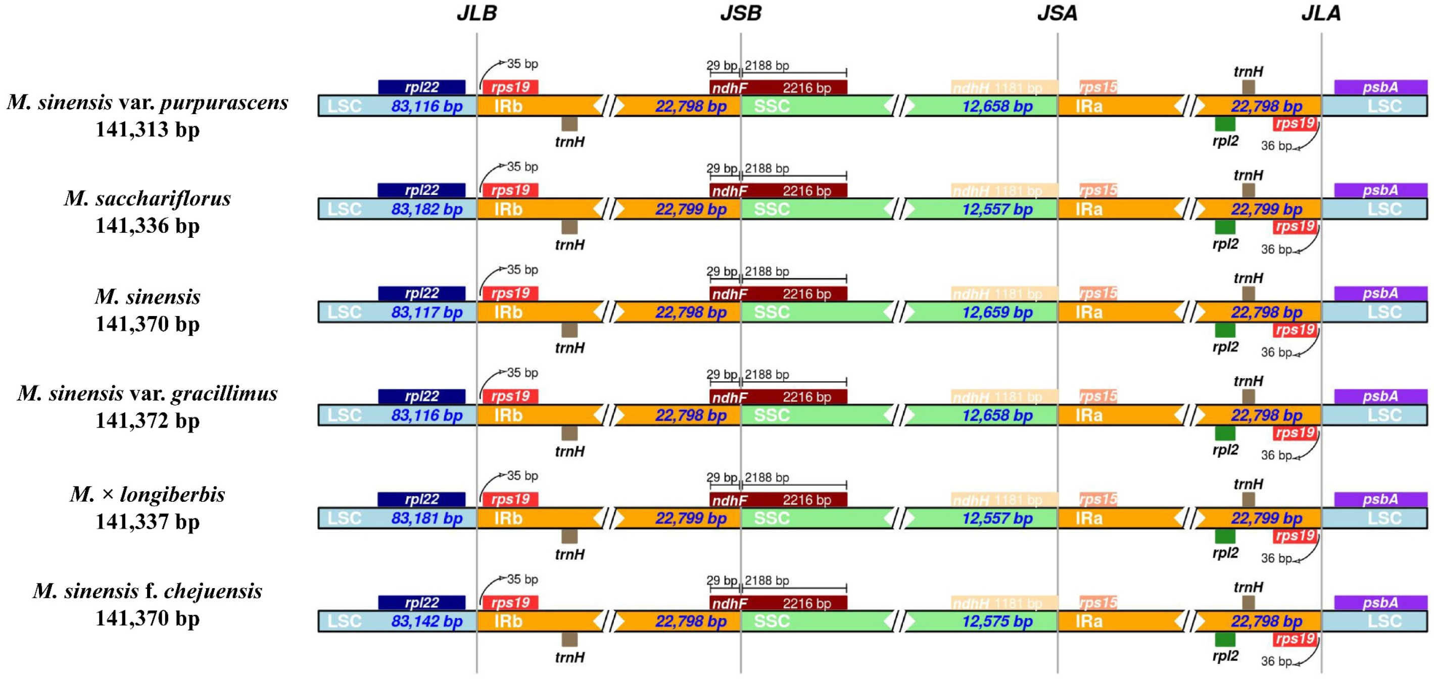 Genes 16 01175 g006 Genes 16 01175 g006