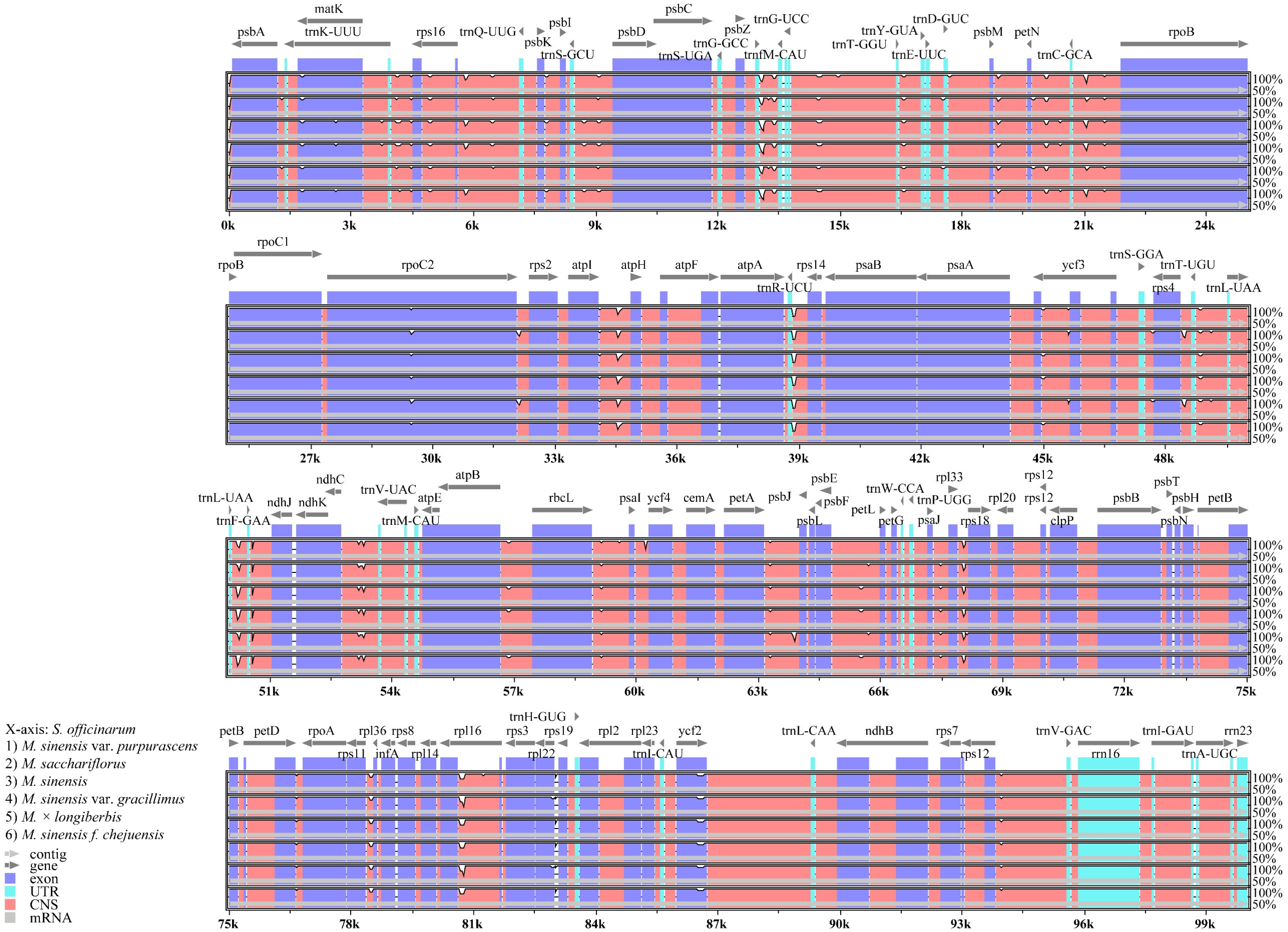 Genes 16 01175 g008 Genes 16 01175 g008