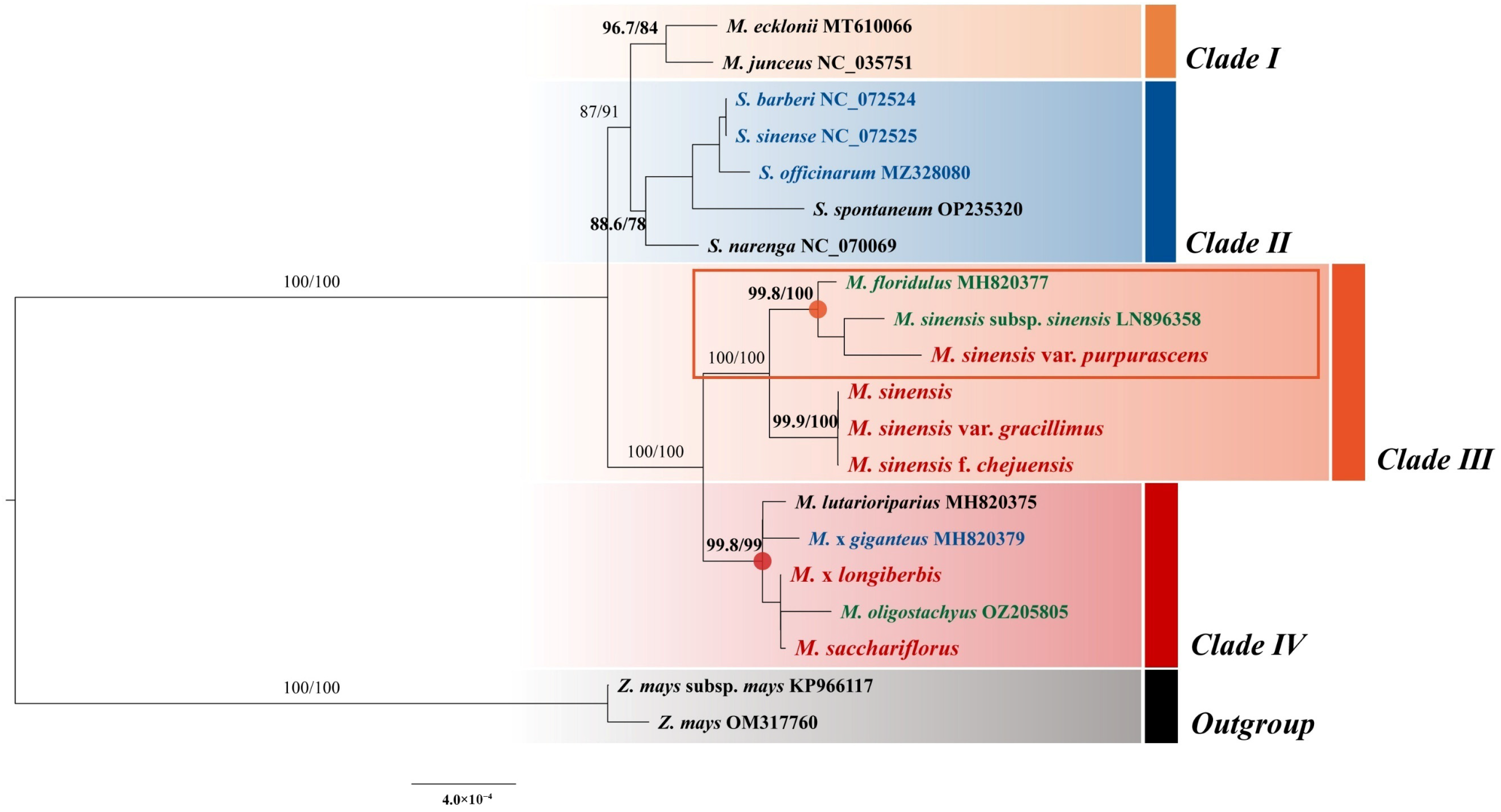 Genes 16 01175 g009 Genes 16 01175 g009