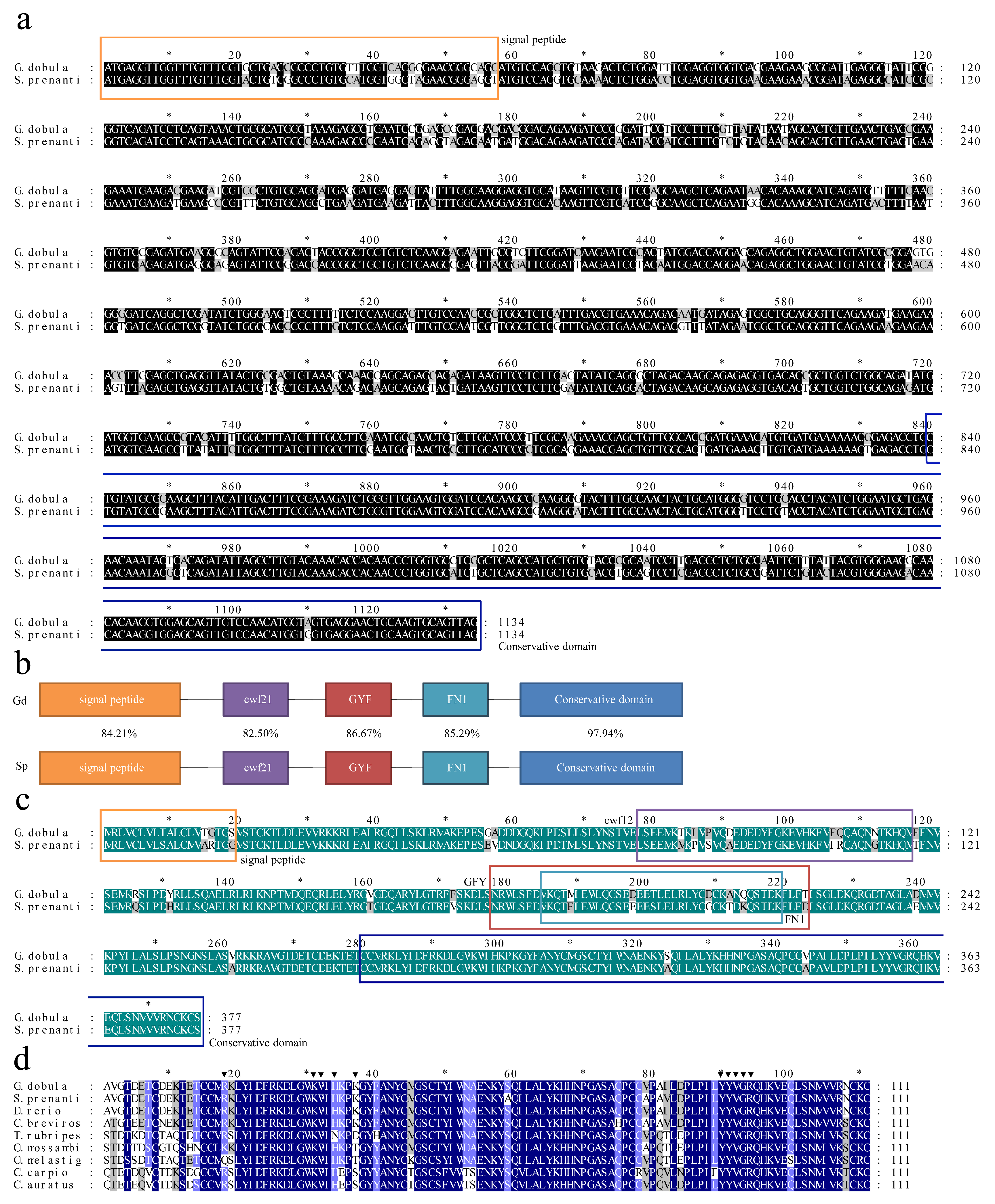 Genes 16 01176 g001 Genes 16 01176 g001