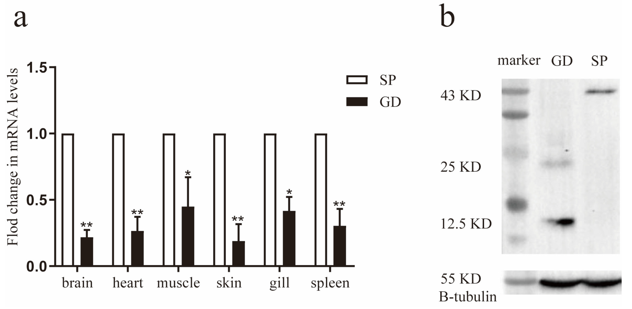 Genes 16 01176 g002 Genes 16 01176 g002