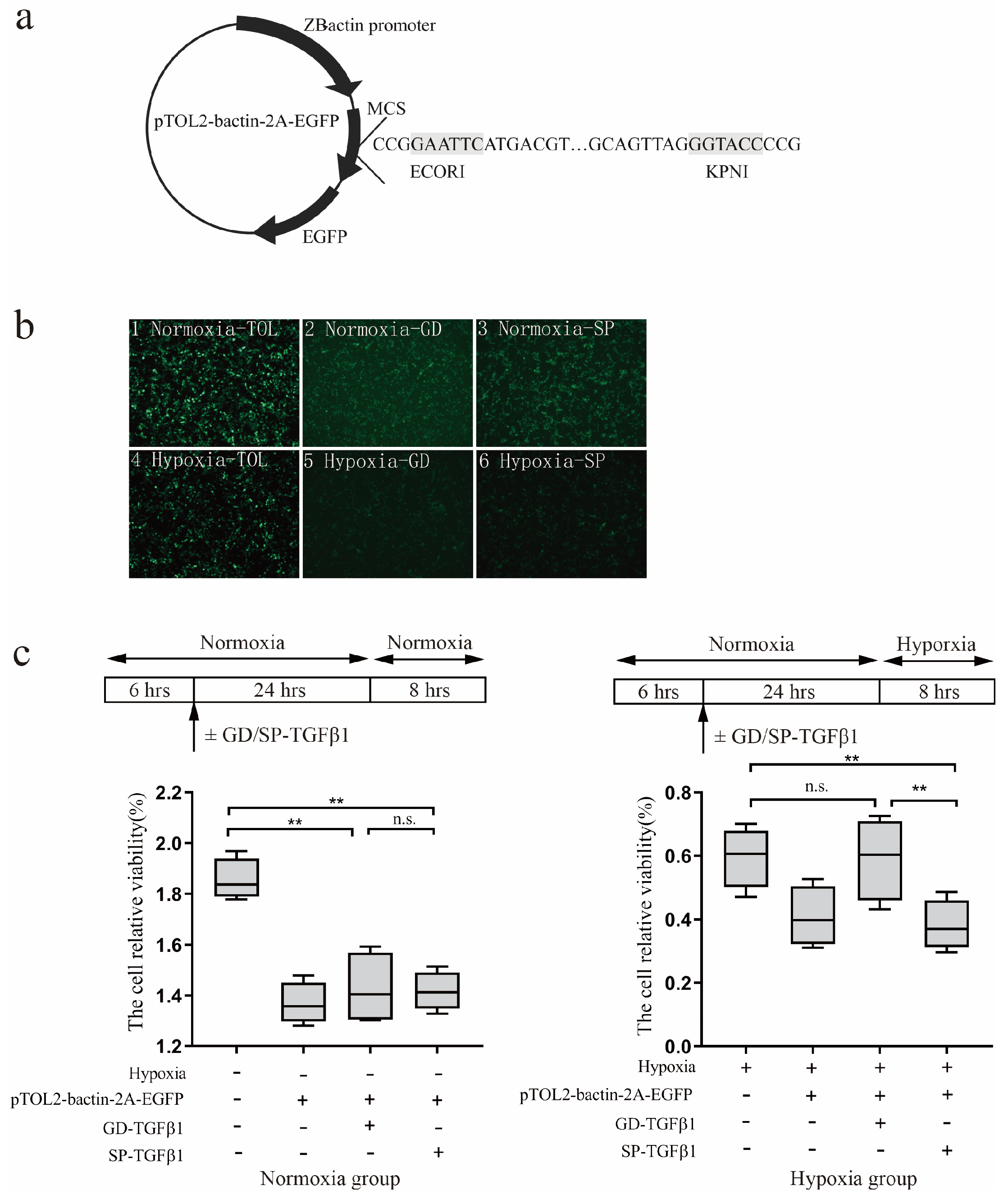 Genes 16 01176 g003 Genes 16 01176 g003