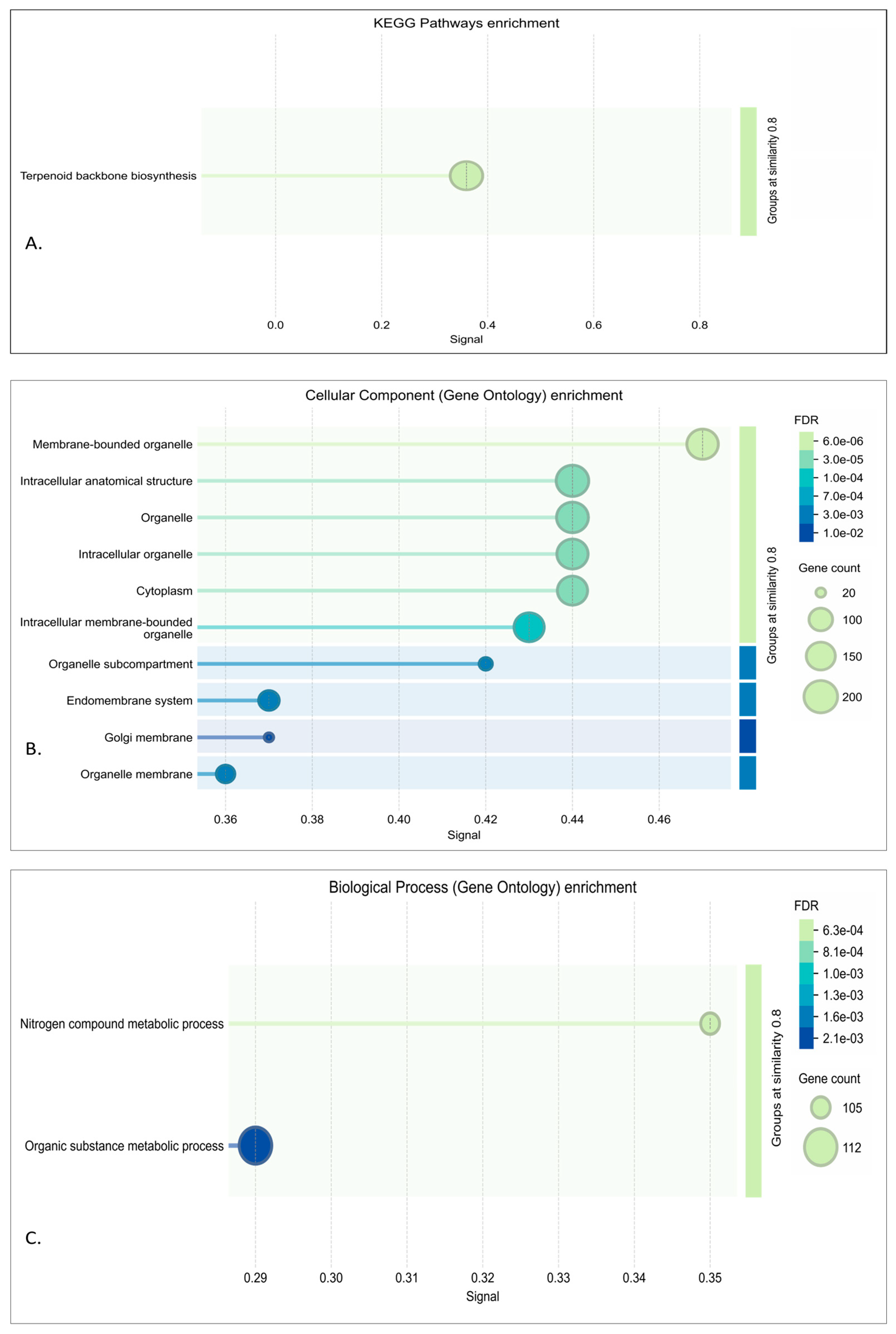 Genes 16 01178 g004 Genes 16 01178 g004