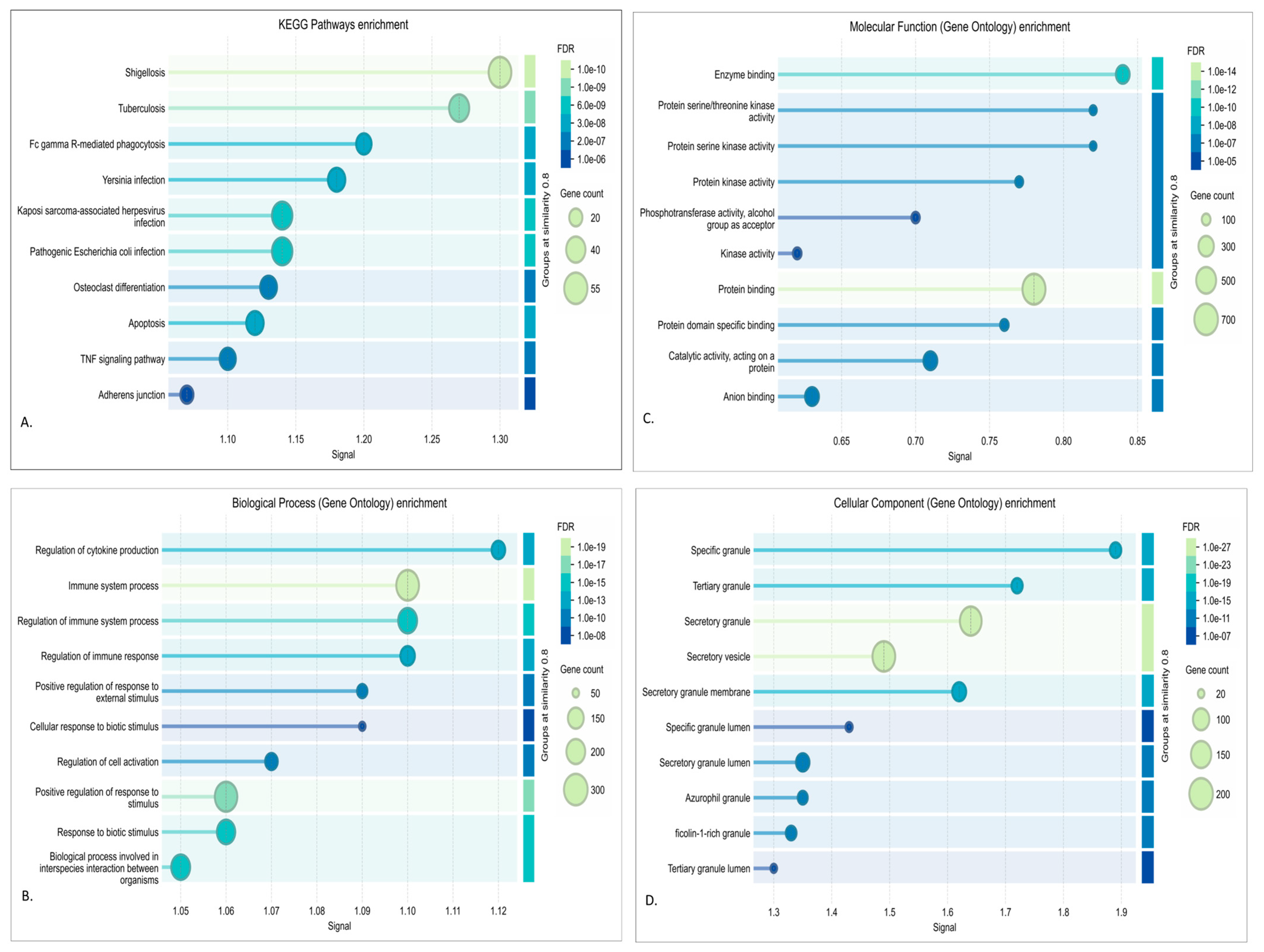 Genes 16 01178 g006 Genes 16 01178 g006