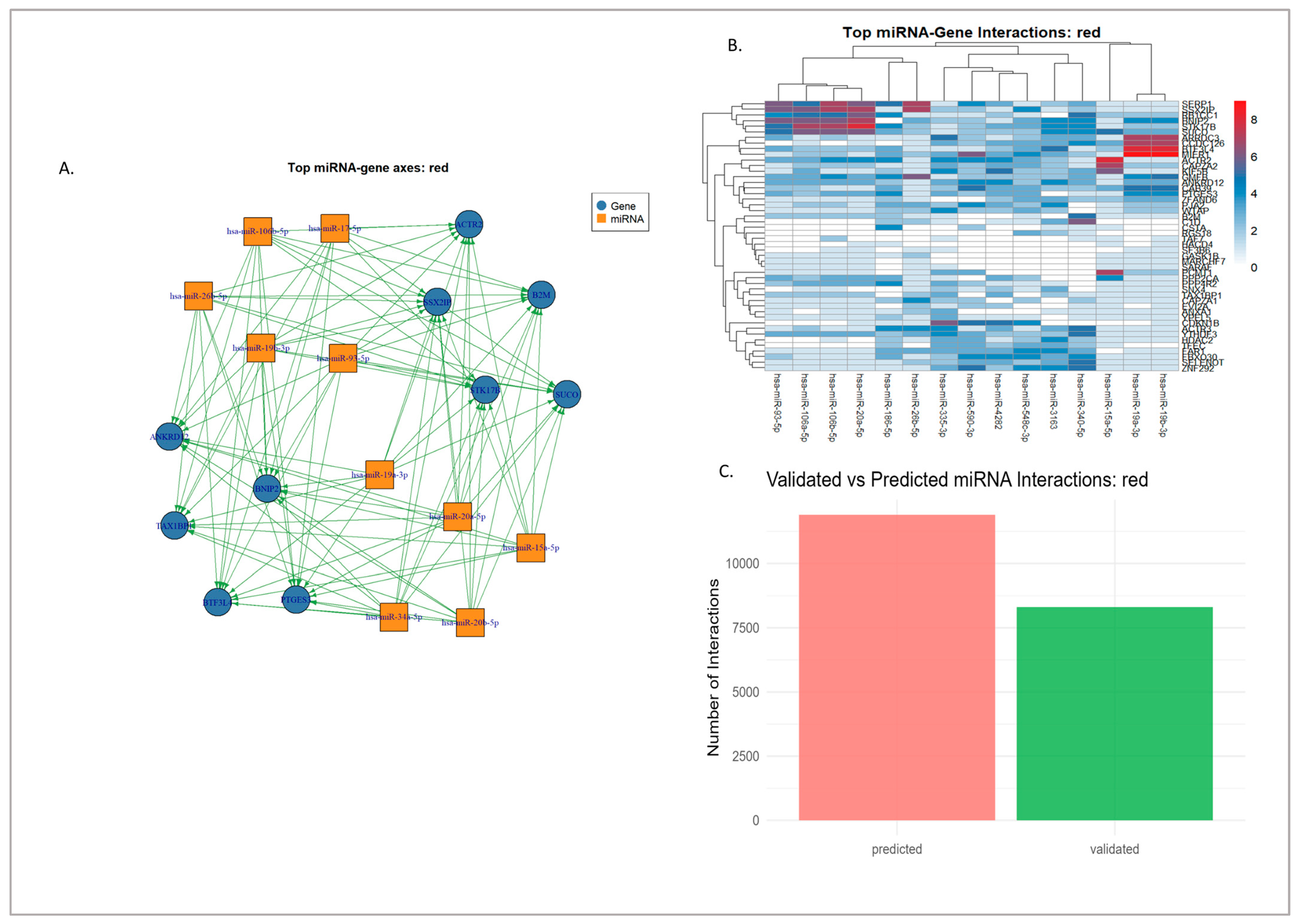 Genes 16 01178 g008 Genes 16 01178 g008
