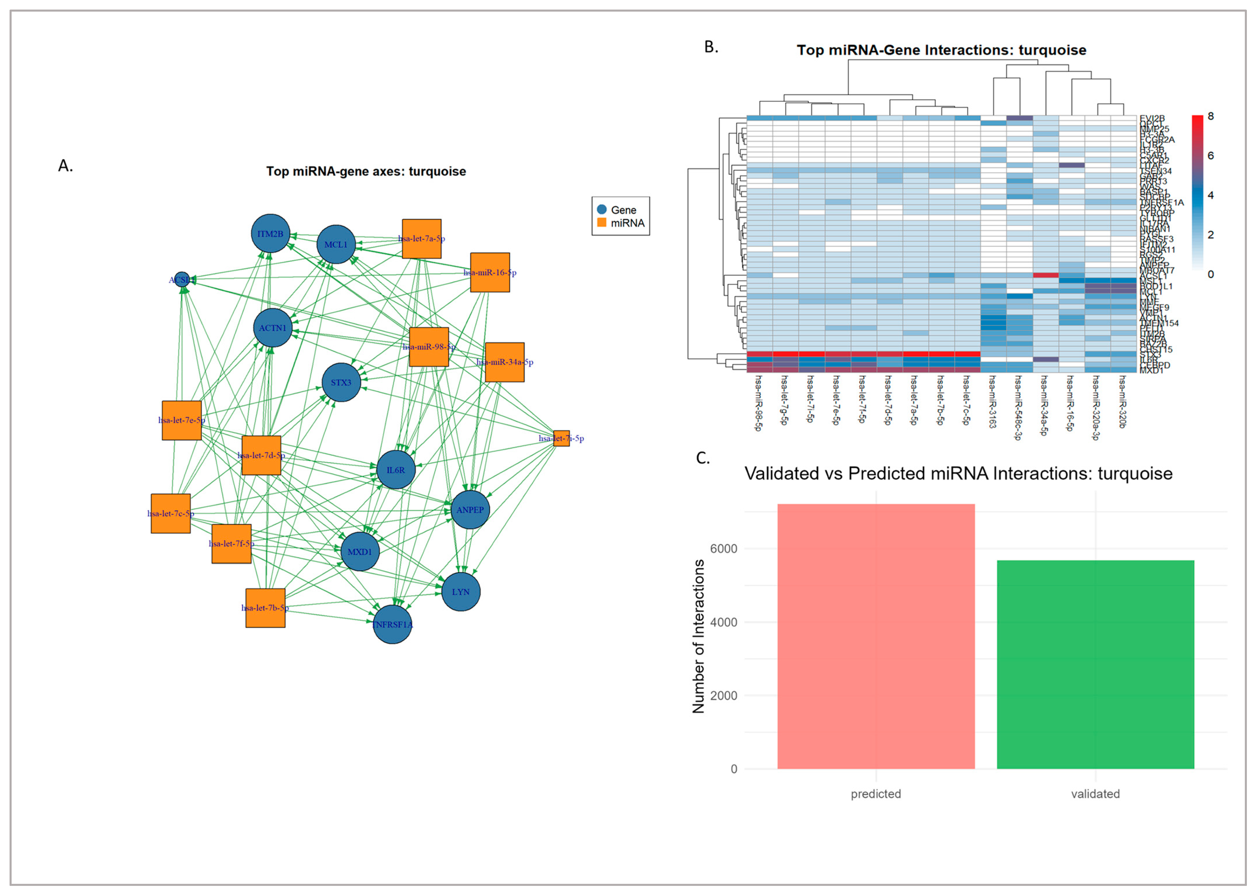 Genes 16 01178 g009 Genes 16 01178 g009