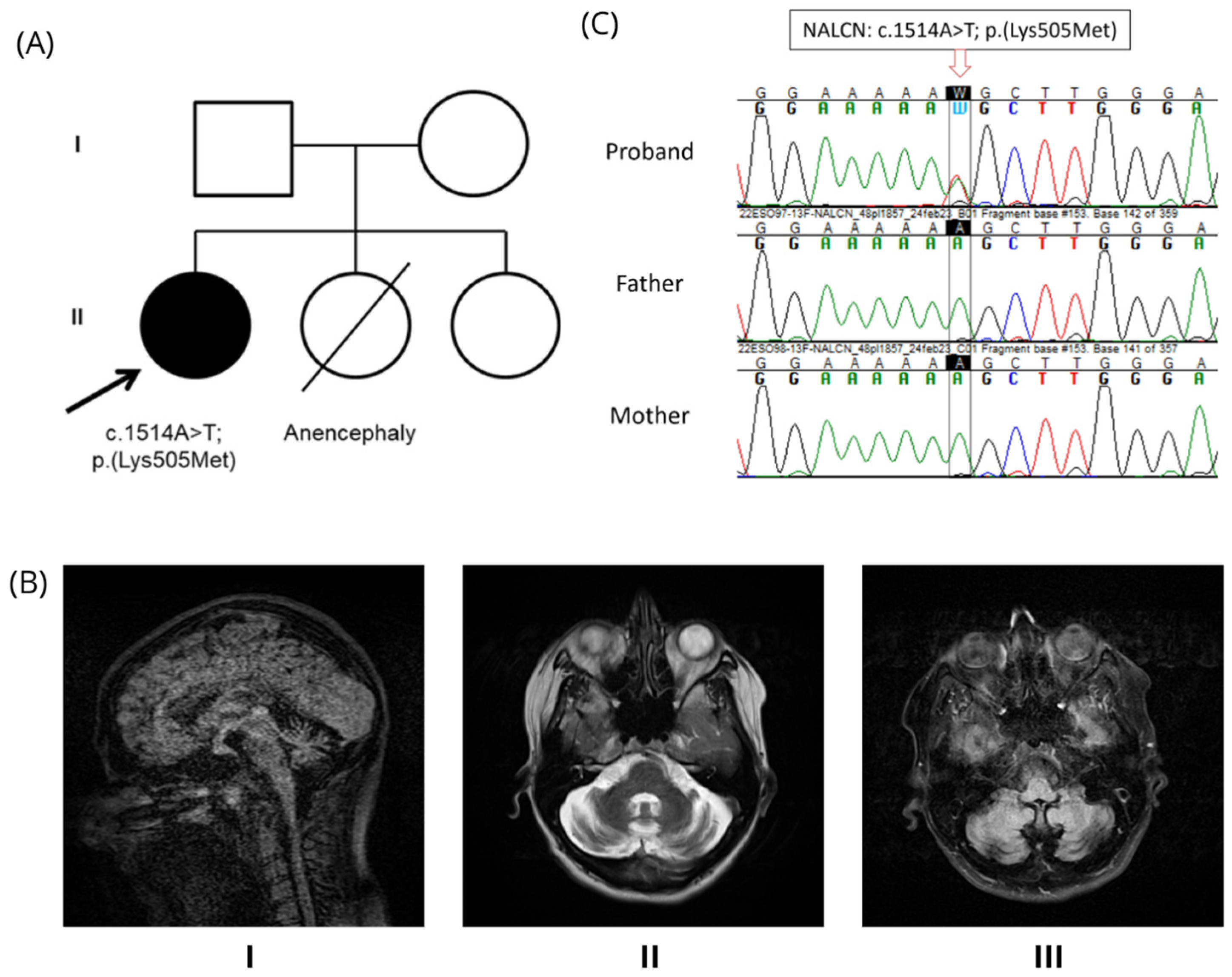 Genes 16 01181 g001 Genes 16 01181 g001