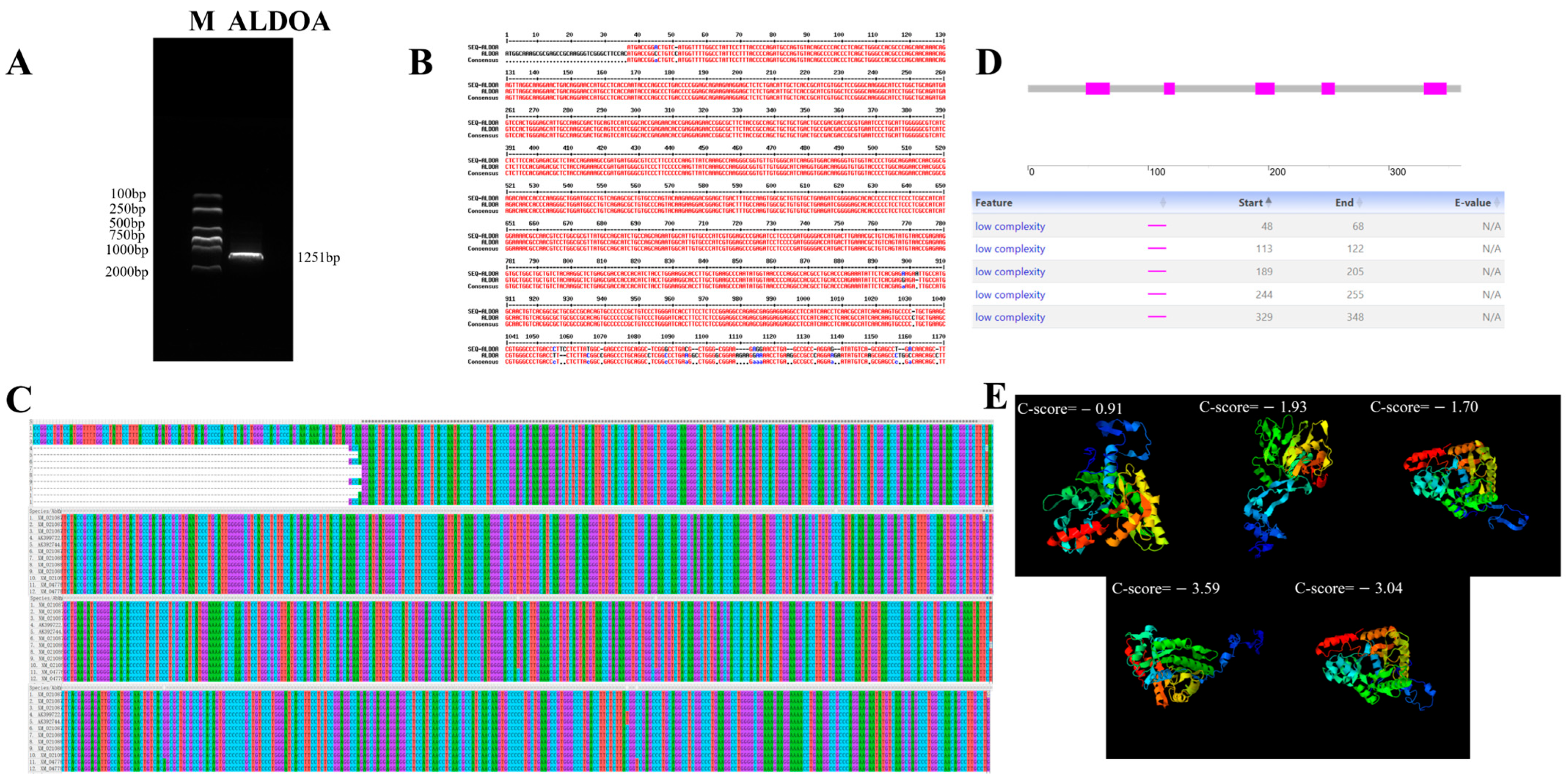 Genes 16 01186 g001